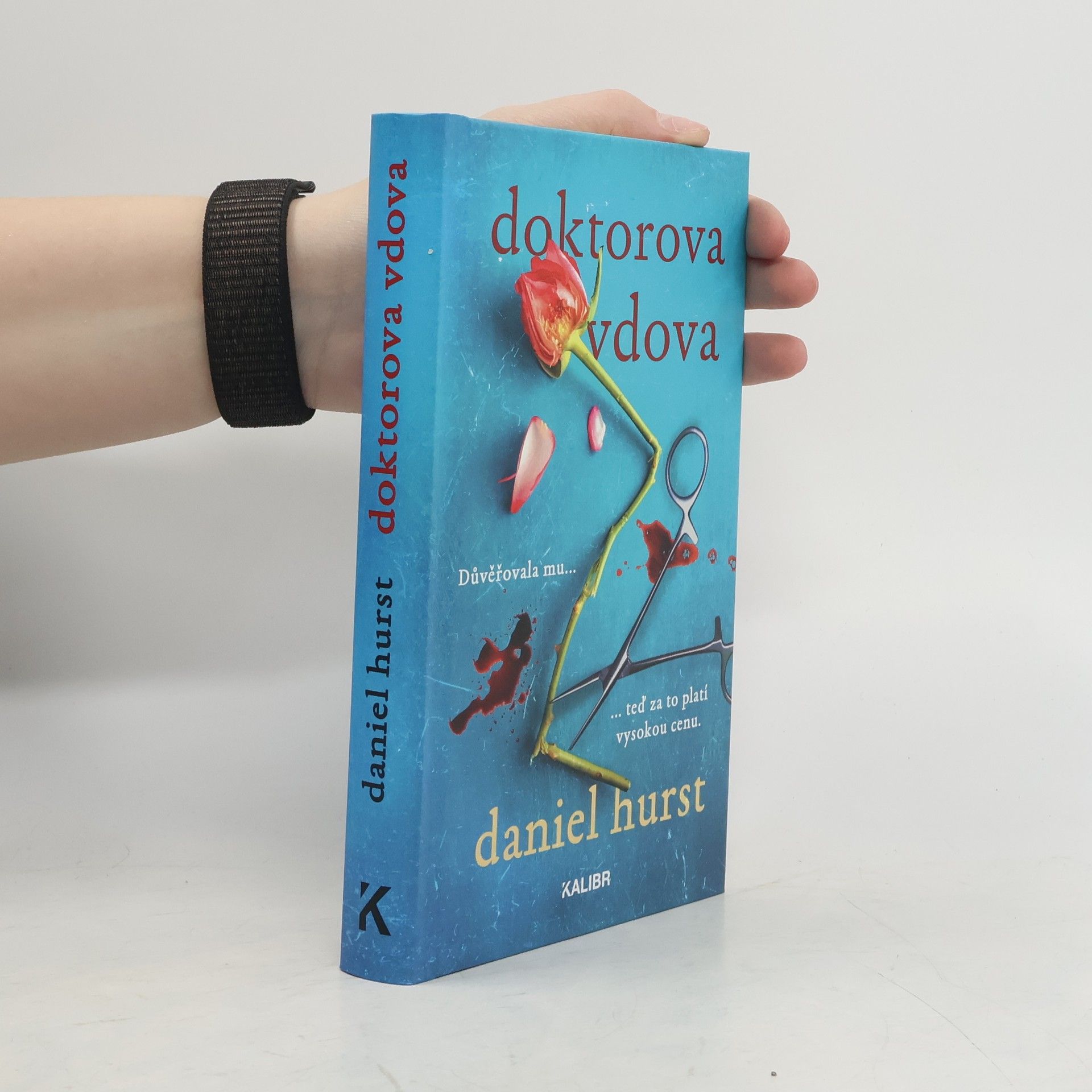 Daniel Hürst Doktorova vdova