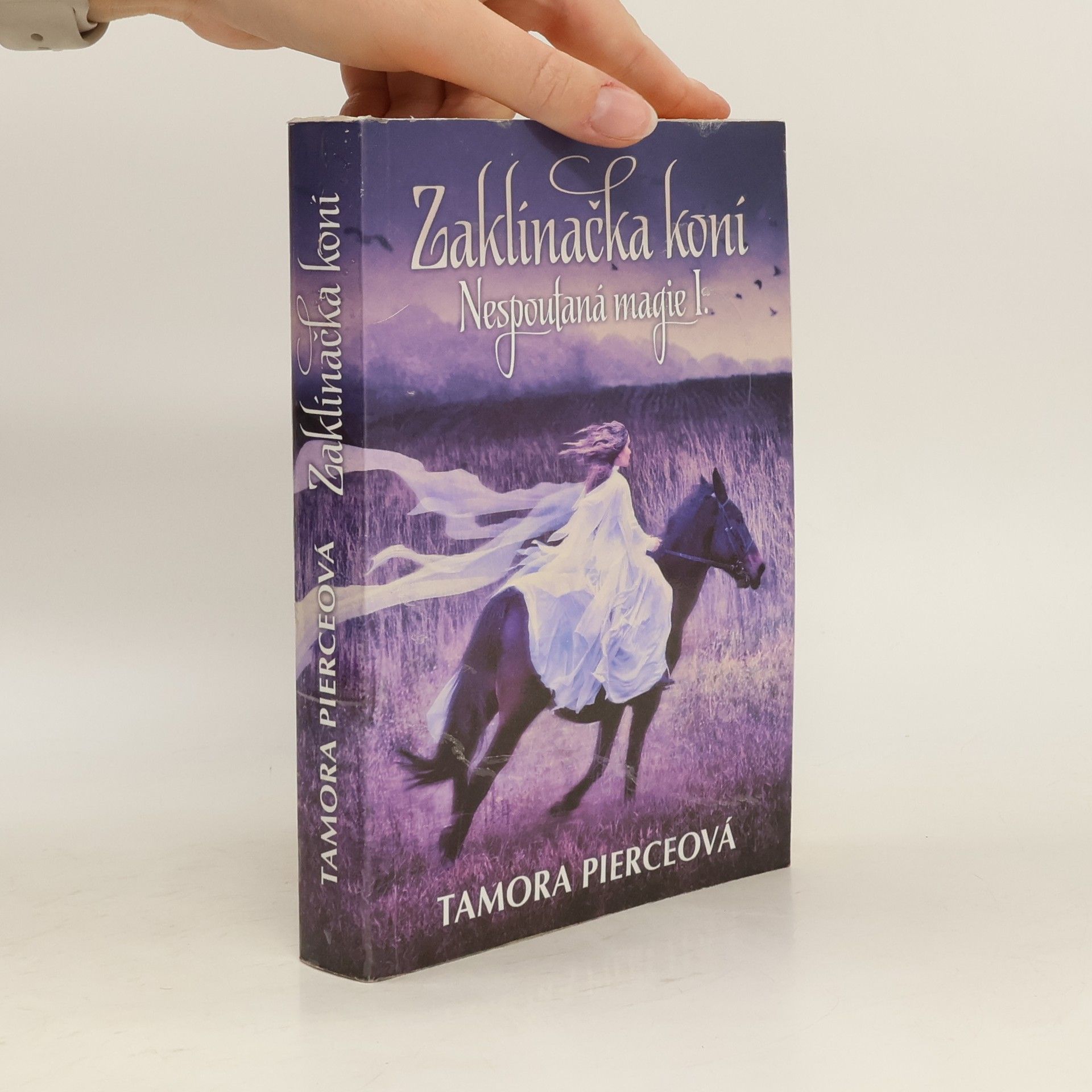 Nespoutaná magie. 1, Zaklínačka koní