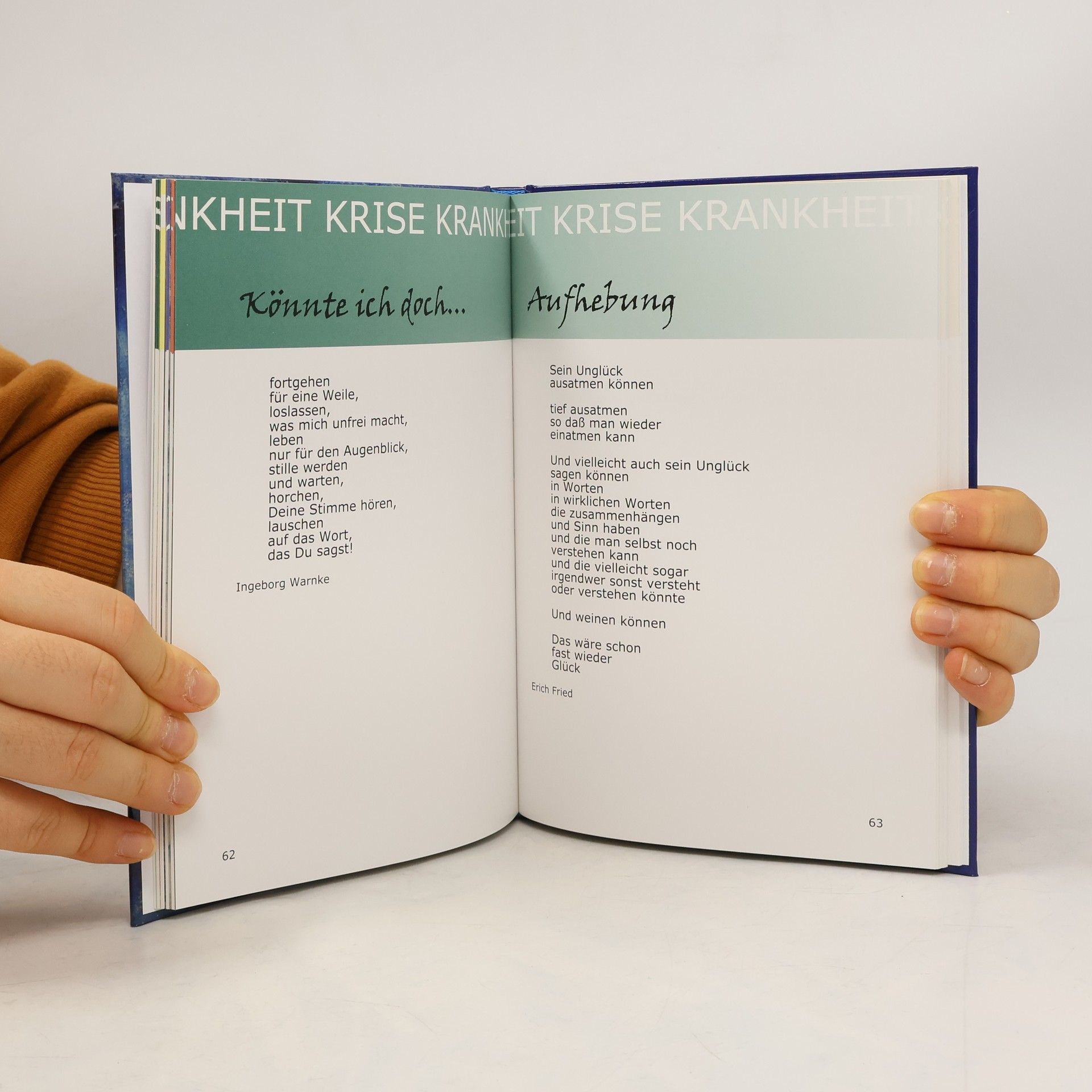 Kolektiv autorů Tosendes Schweigen