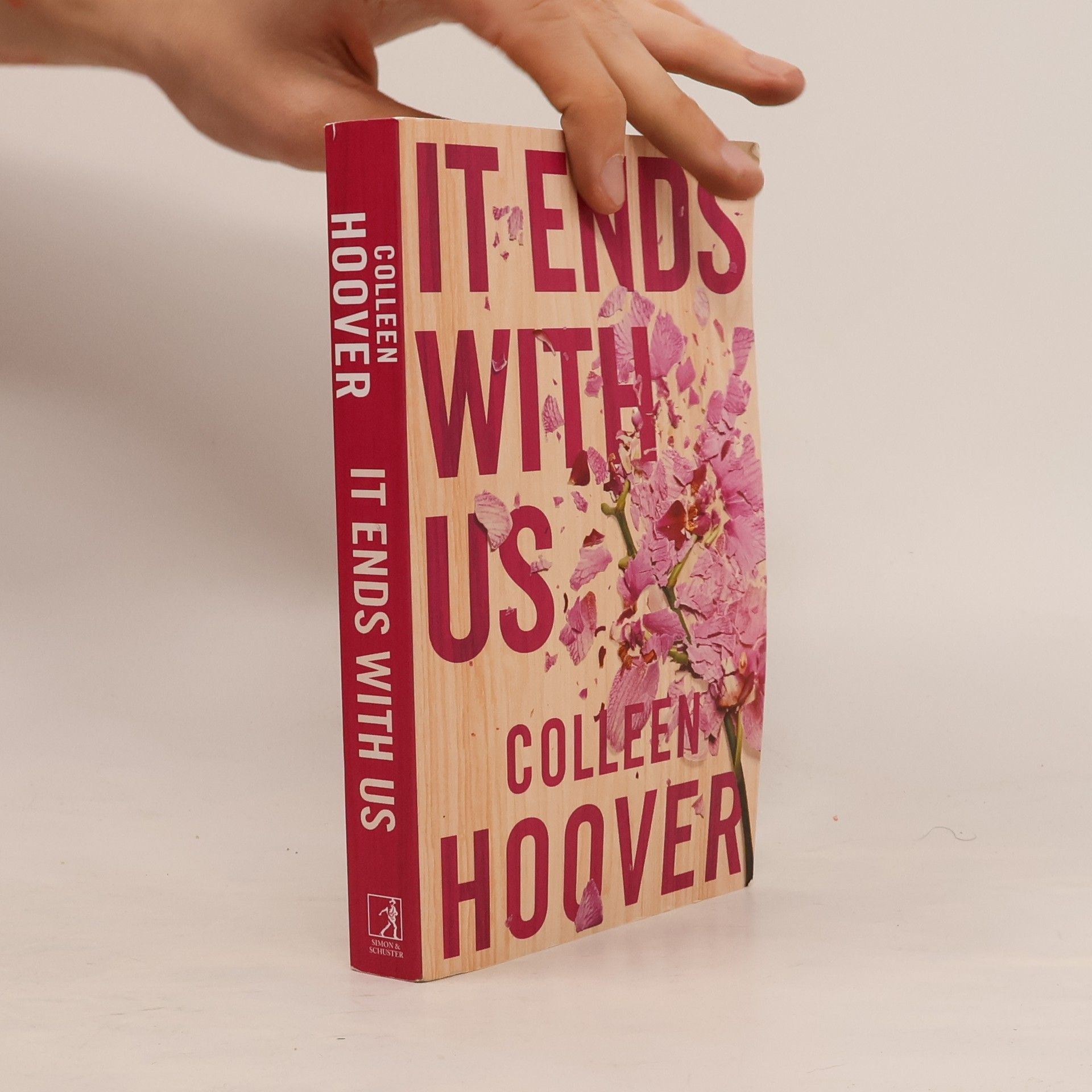 Colleen Hoover It Ends With Us