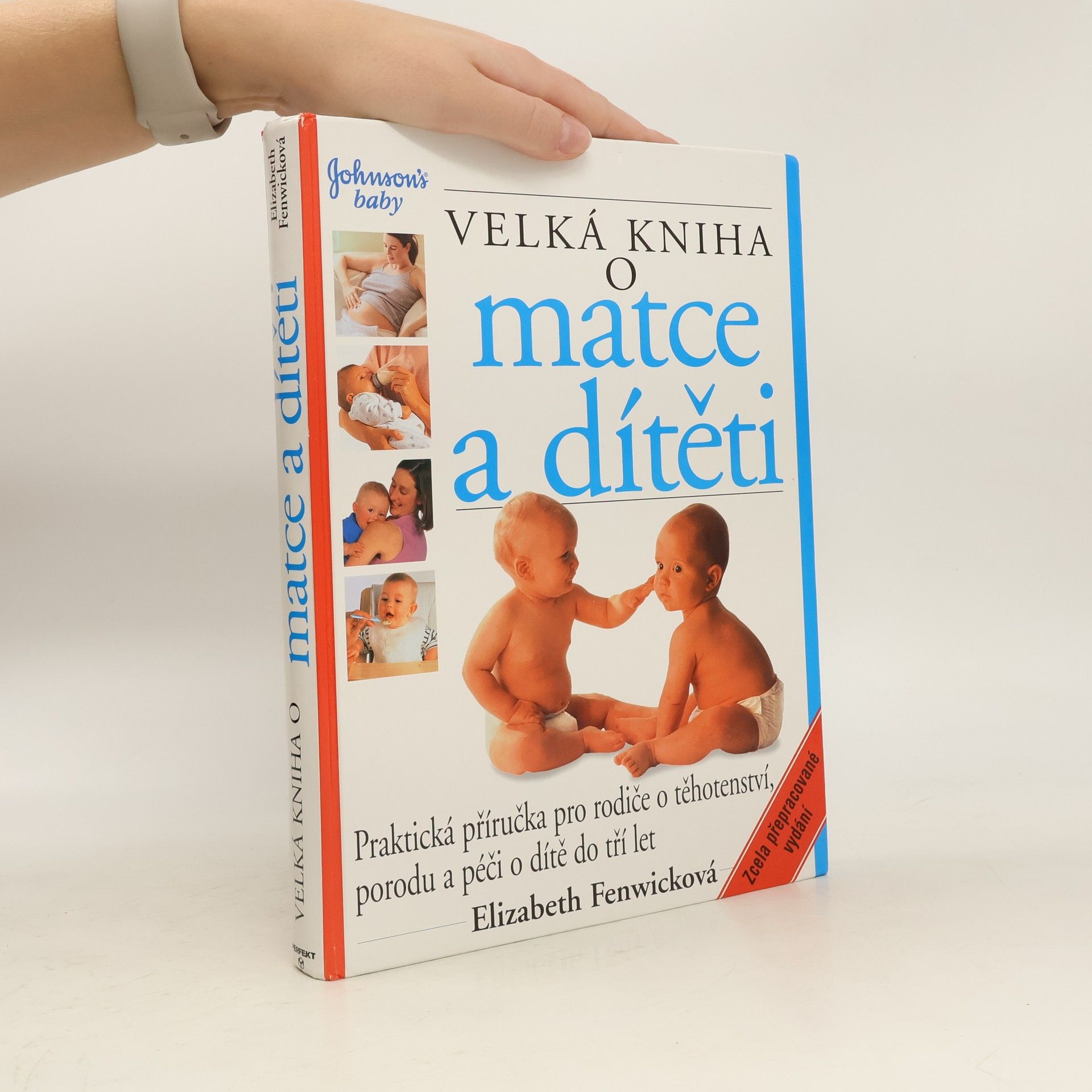 Elizabeth Fenwick Velká kniha o matce a dítěti