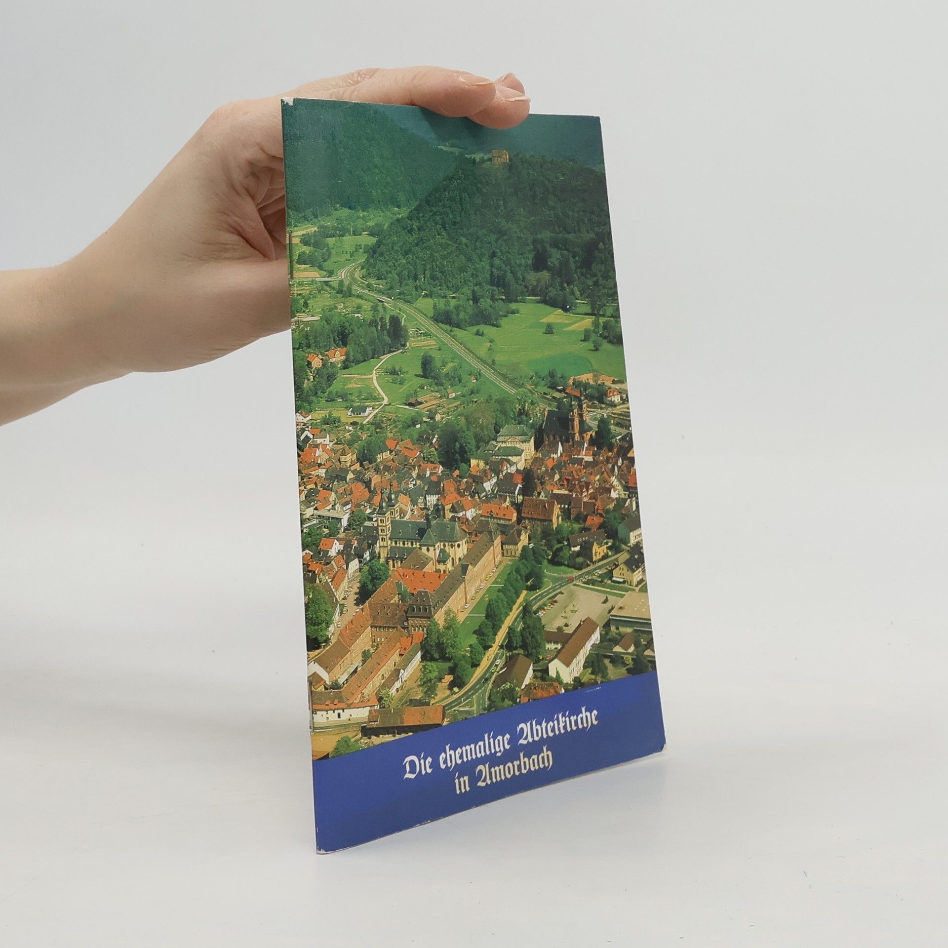 AA.VV. Die ehemalige Abteikirche in Amorbach