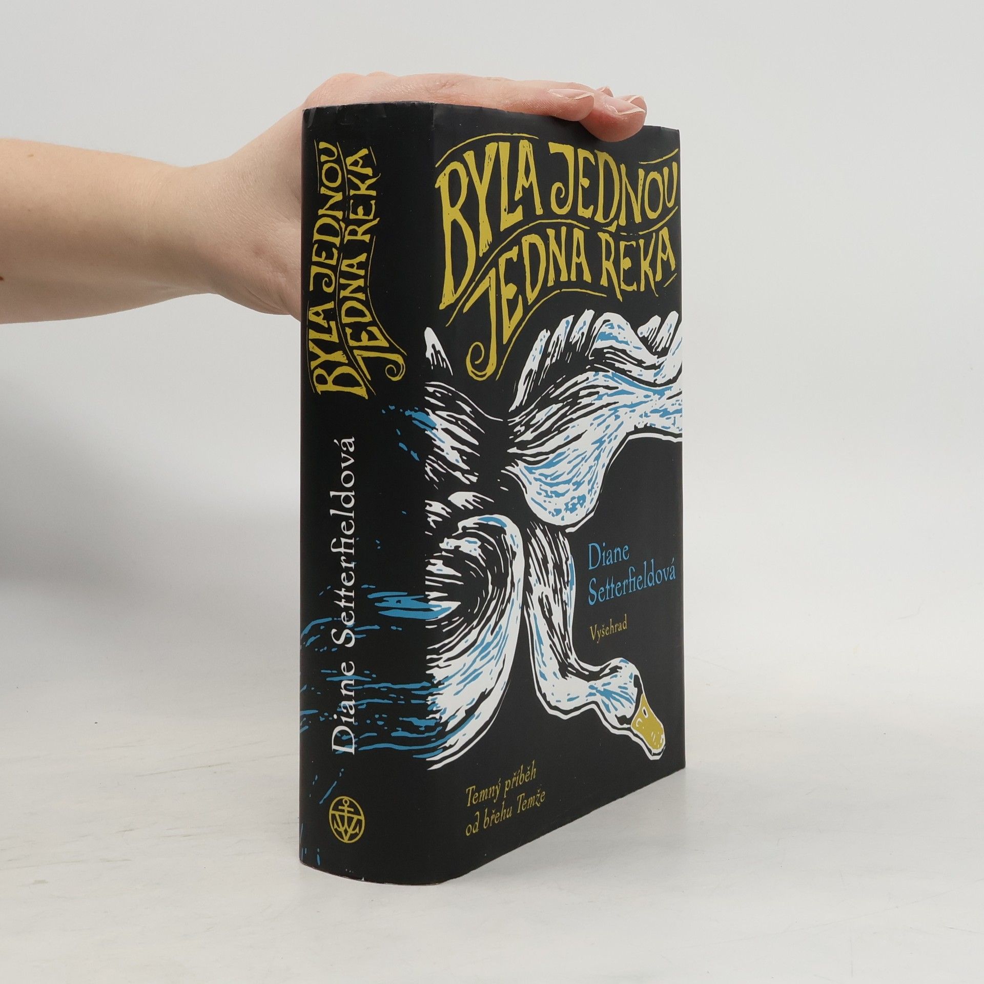 Diane Setterfield Byla jednou jedna řeka
