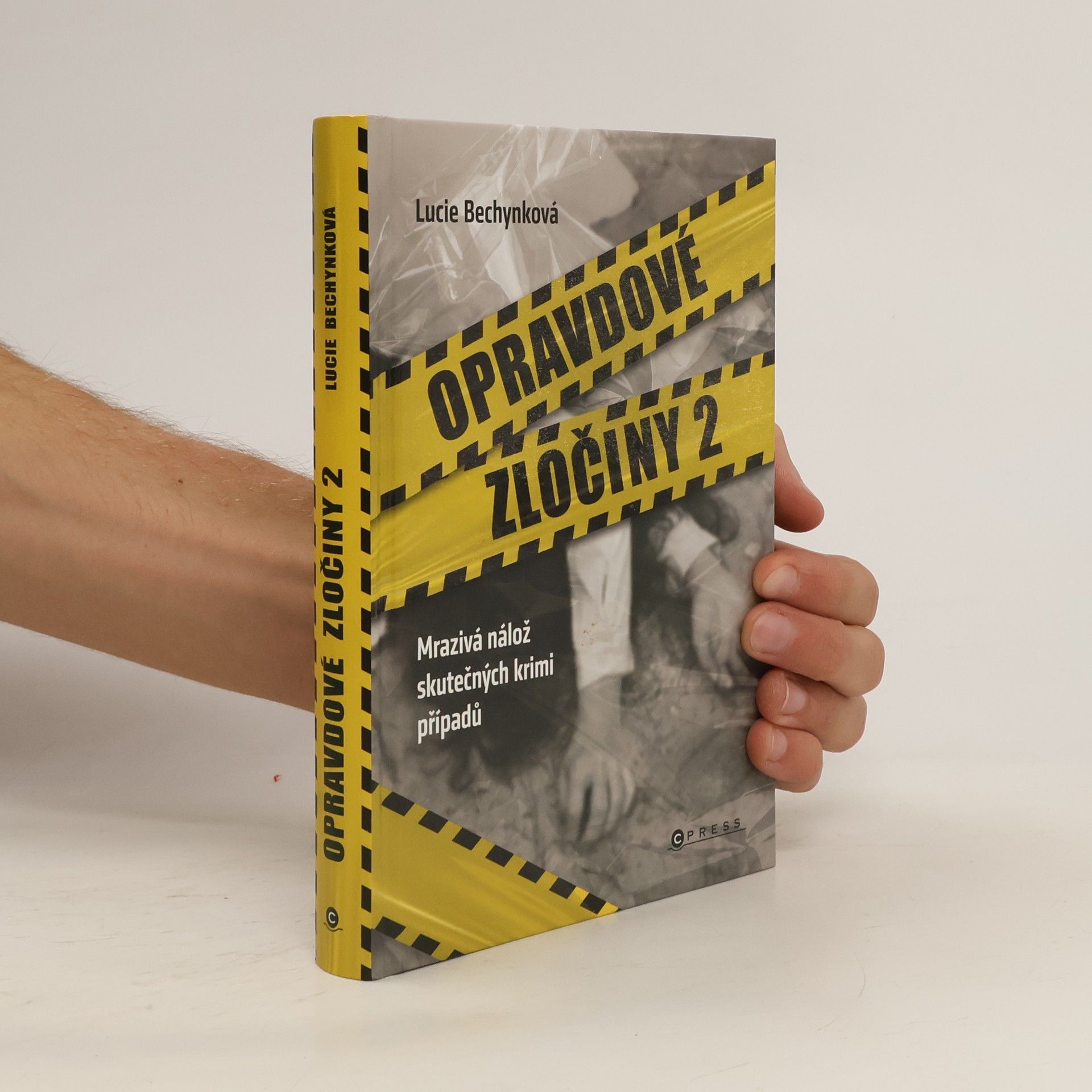 Opravdové zločiny 2