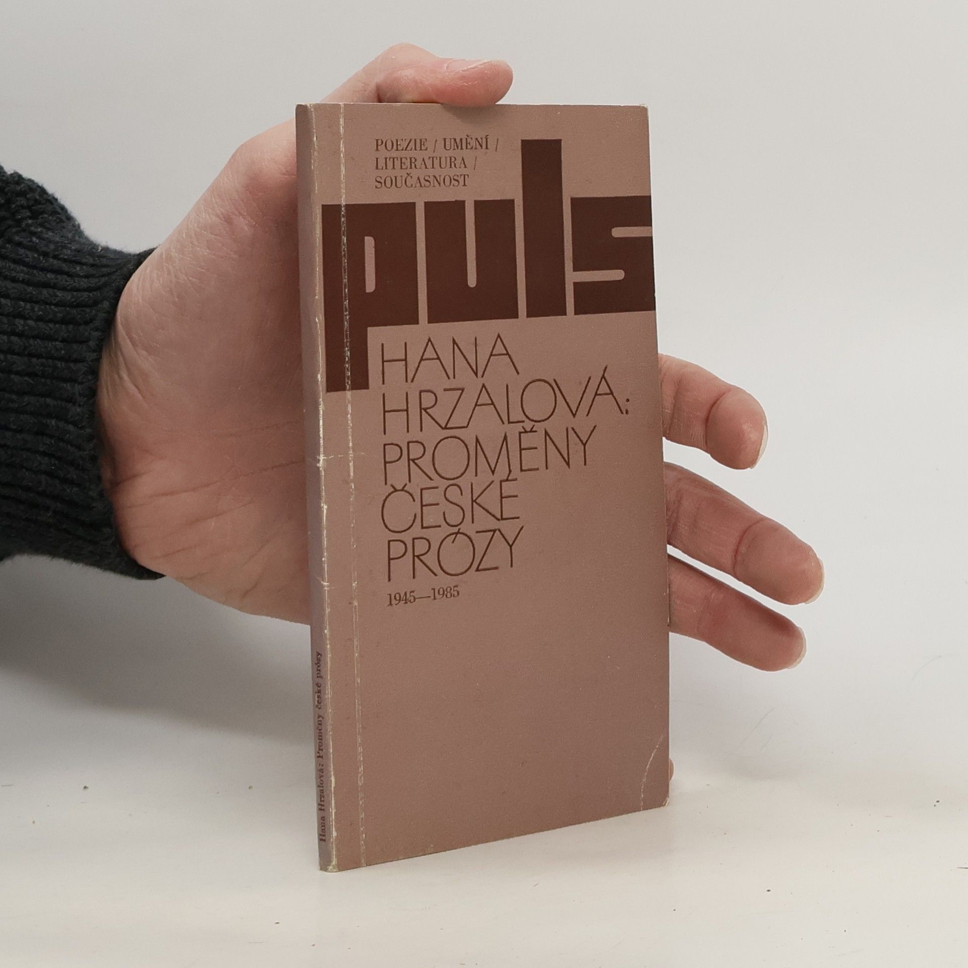 Hana Hrzalová Proměny české prózy