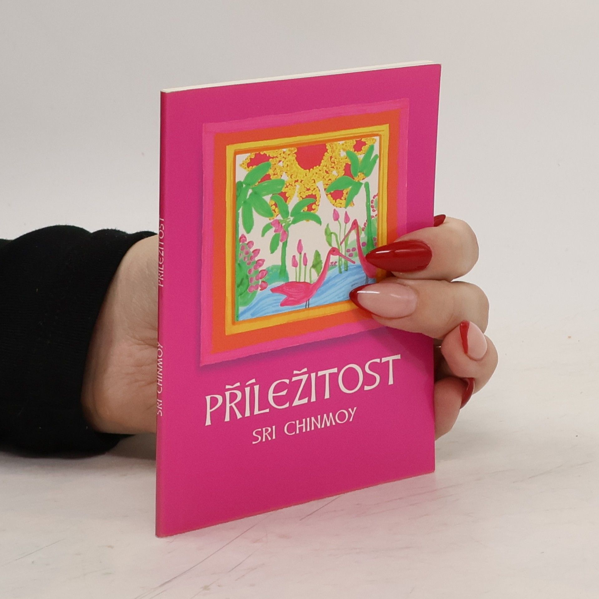 Chinmoy Kumar Ghose Příležitost