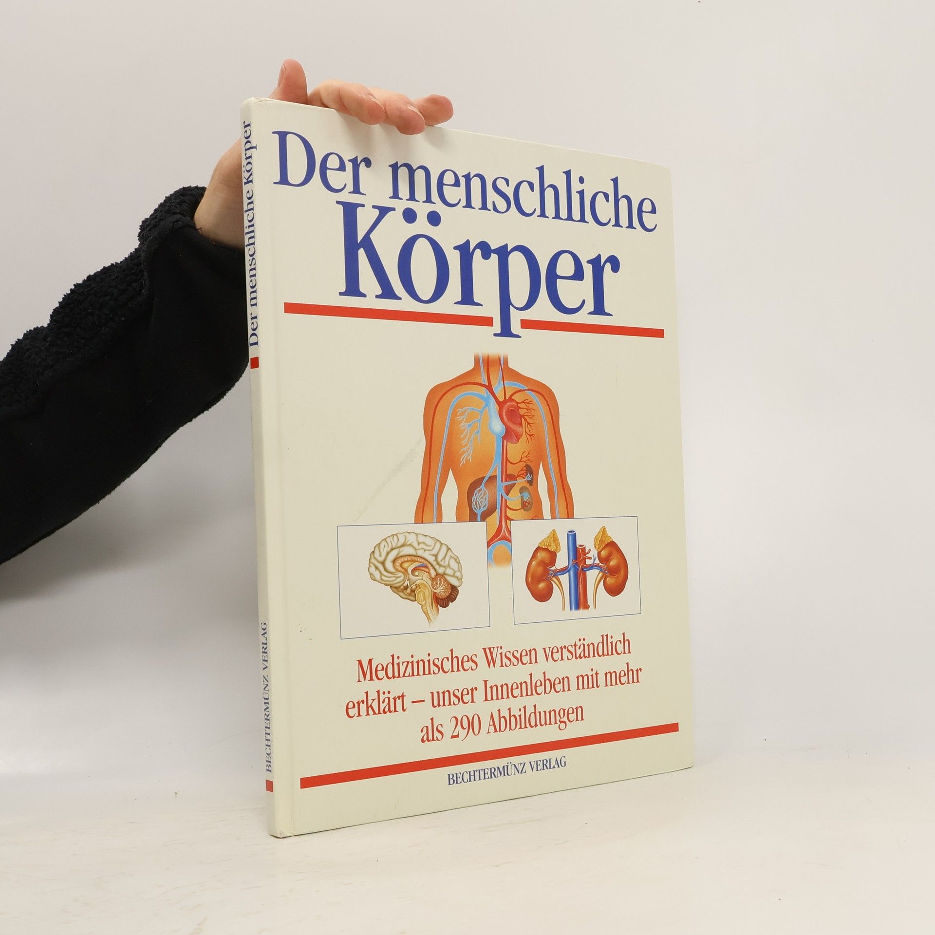 Der menschliche Körper