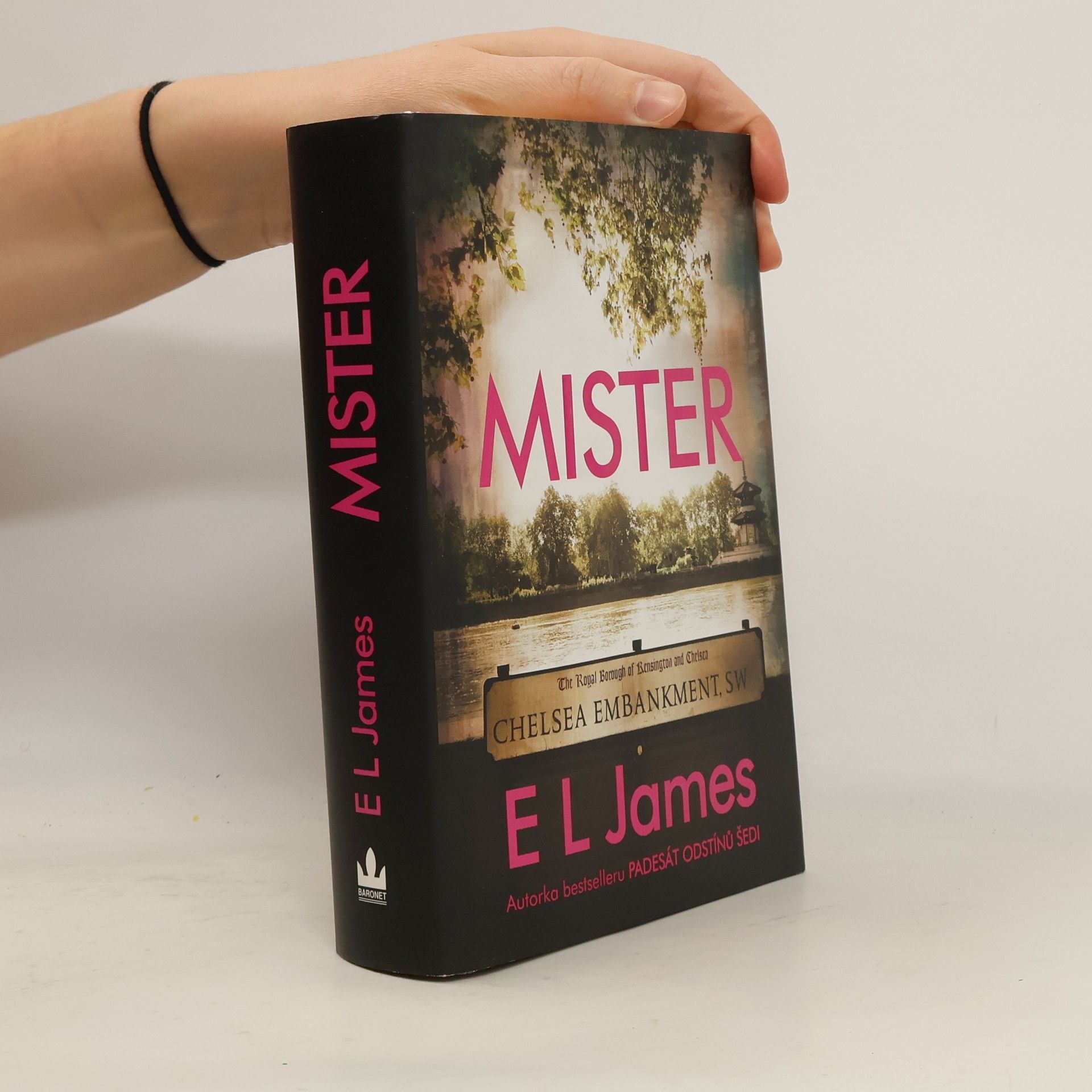 E. L. James Mister