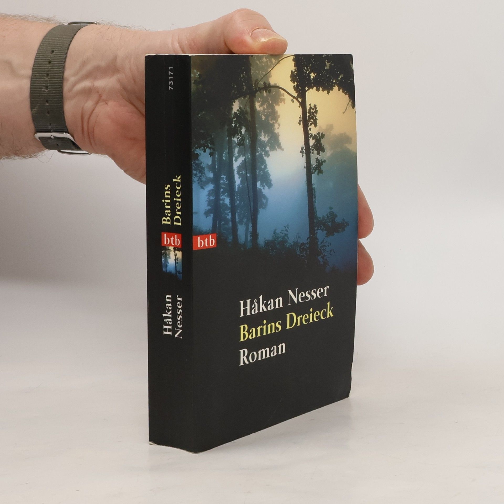 Håkan Nesser Barins Dreieck