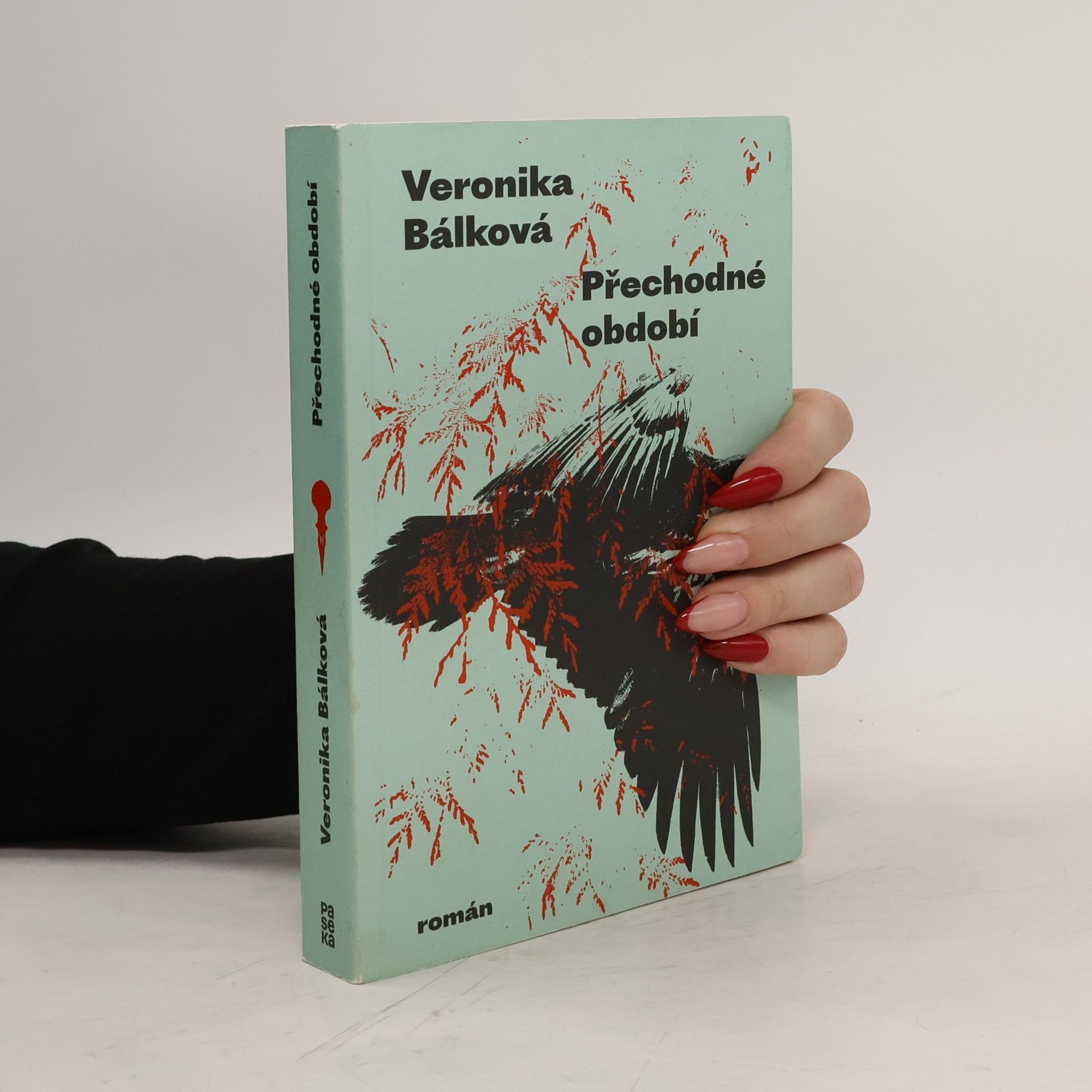 Veronika Bálková Přechodné období