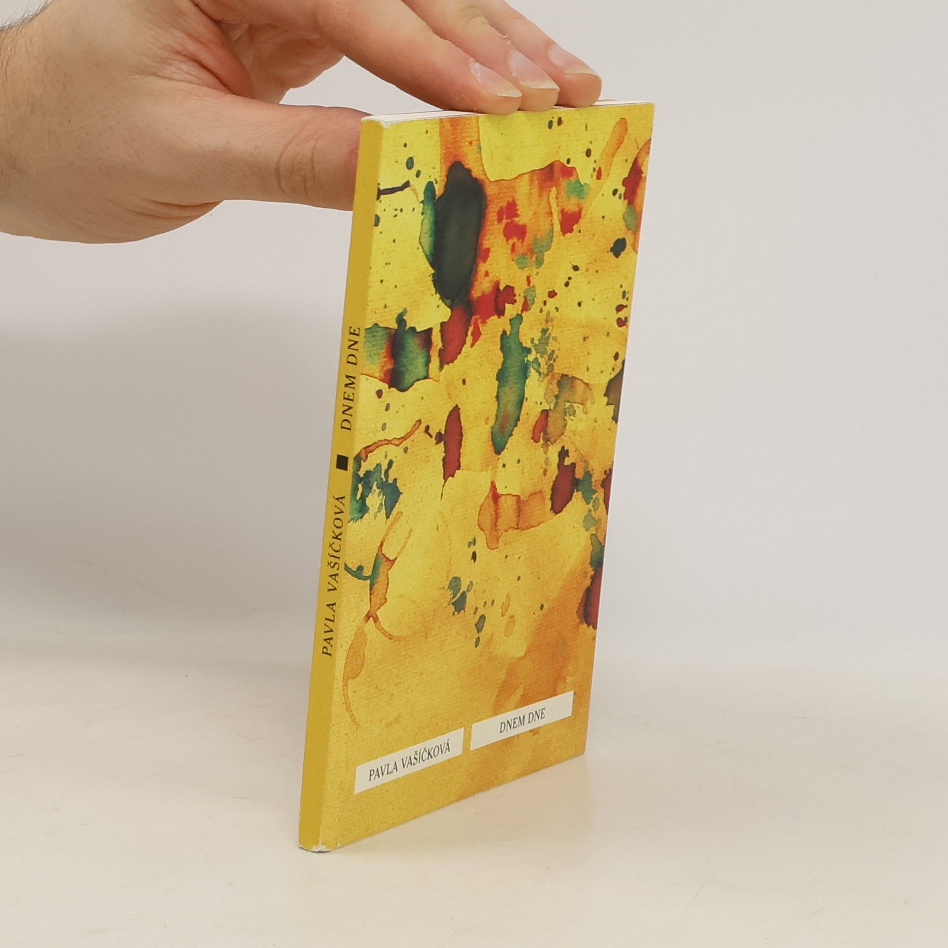 Pavla Vašíčková Dnem dne