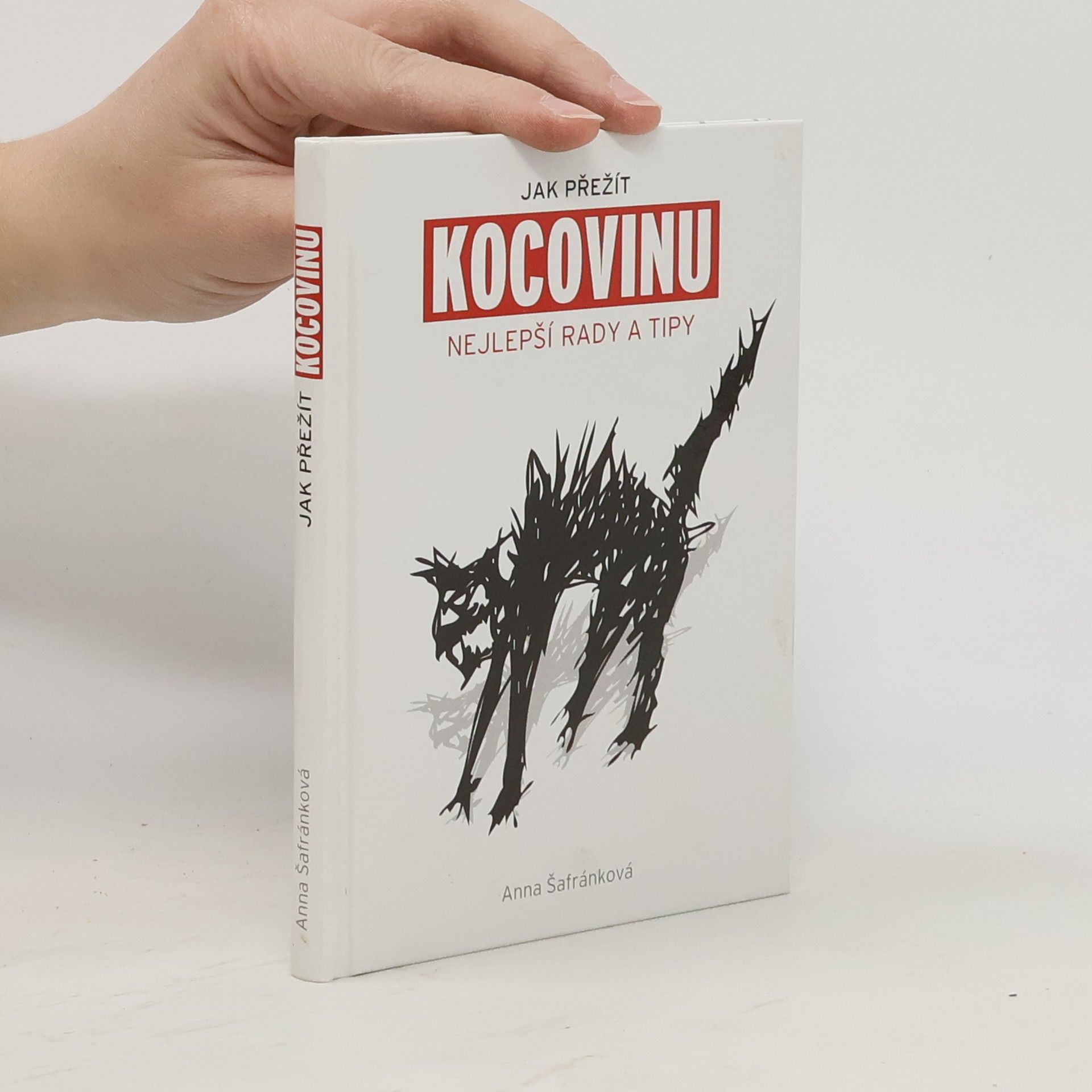 Jak přežít kocovinu: Nejlepší rady a tipy