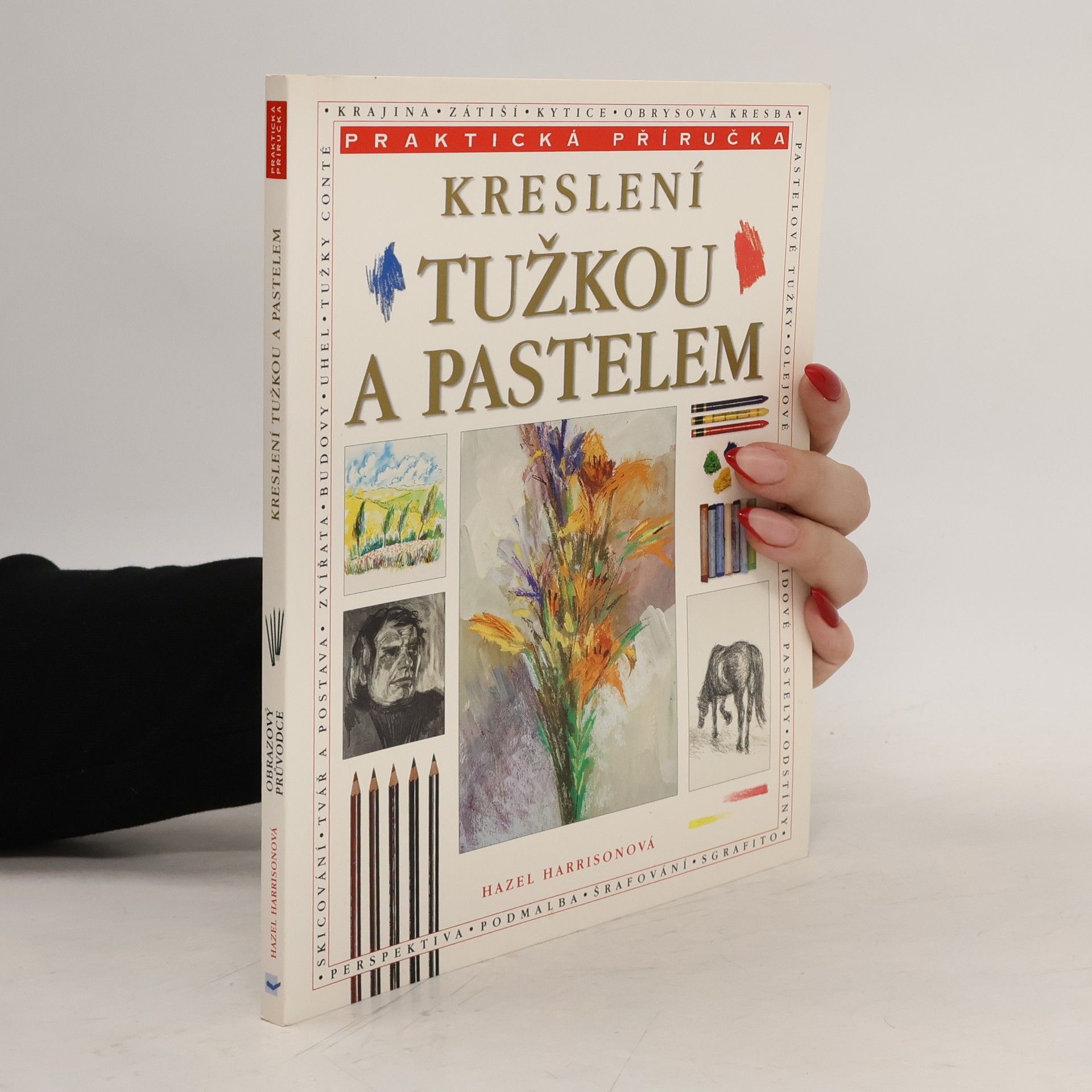 Hazel Harrison Kreslení tužkou a pastelem