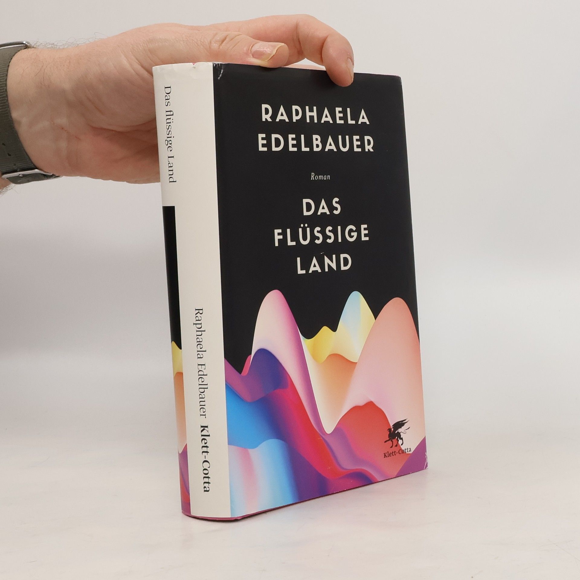 Raphaela Edelbauer Das flüssige Land