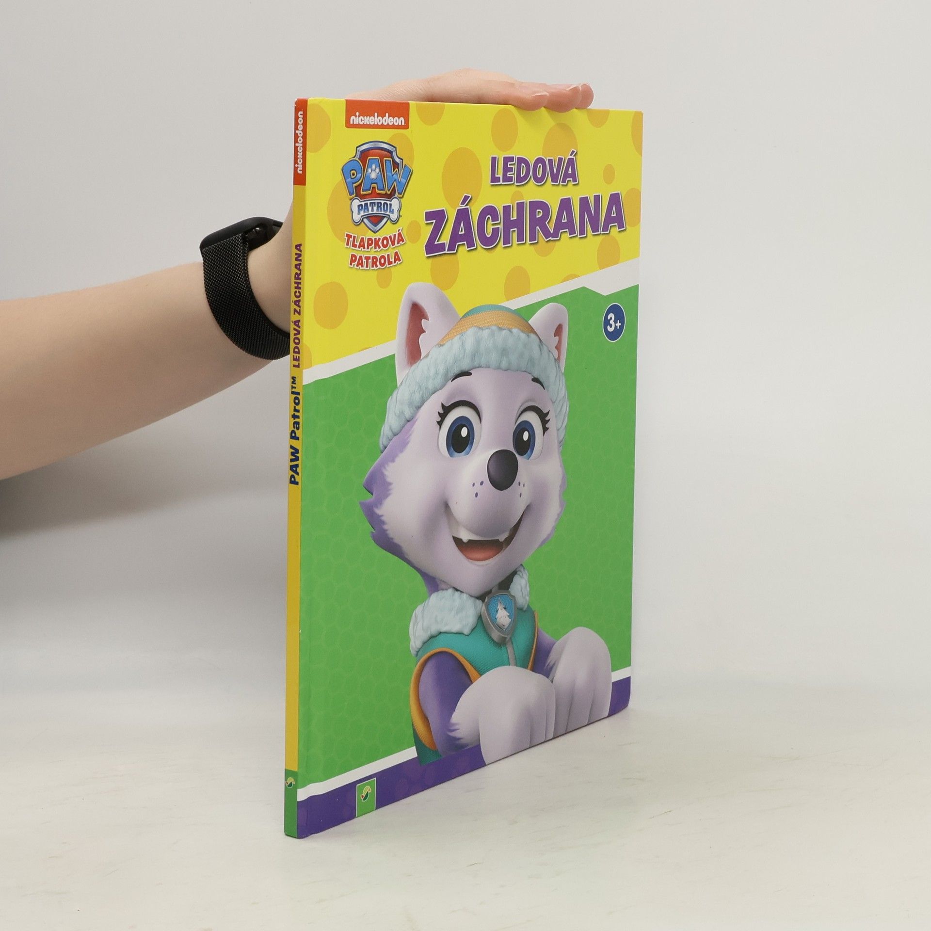 Kolektív autorov Tlapková patrola. Ledová záchrana