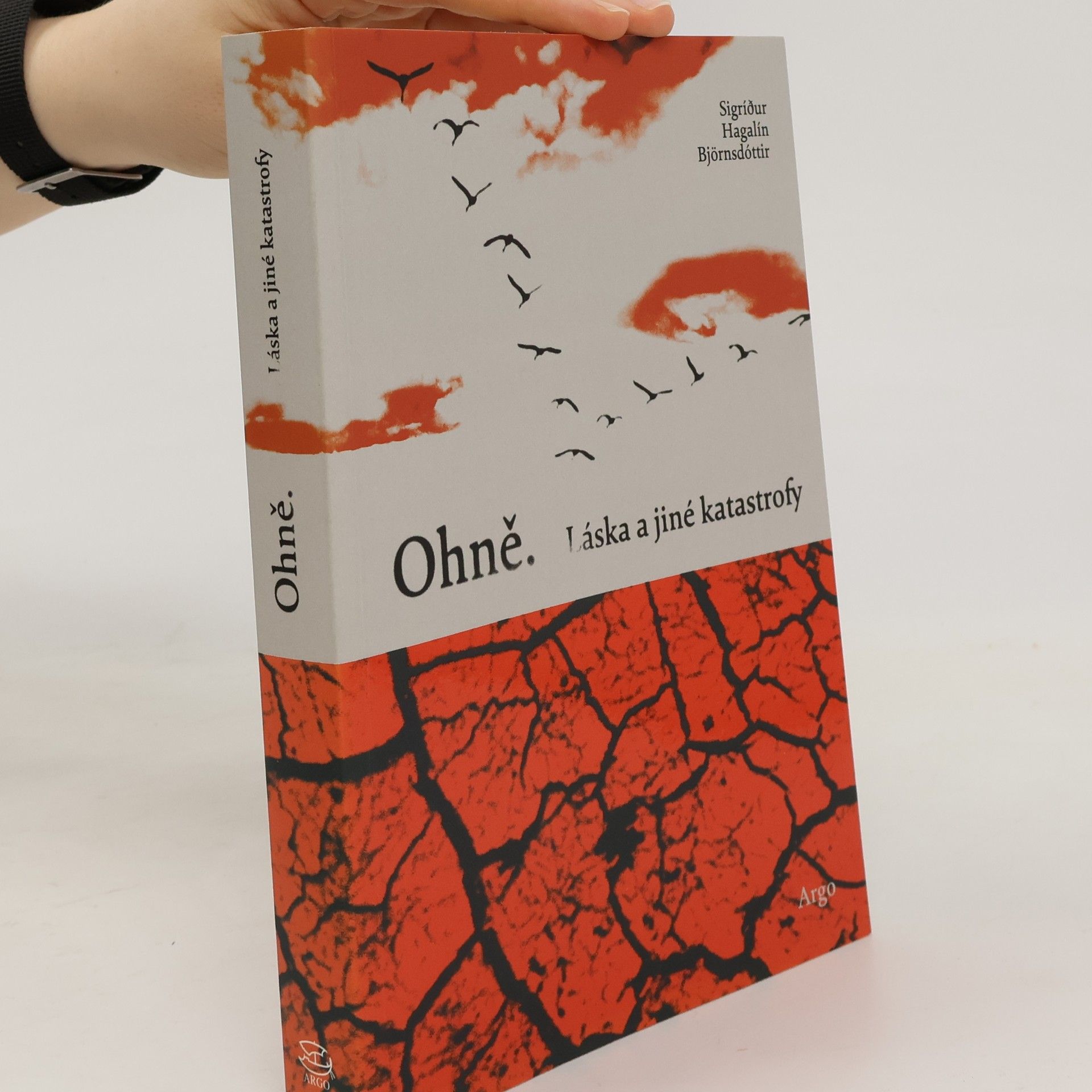 Ohně : láska a jiné katastrofy