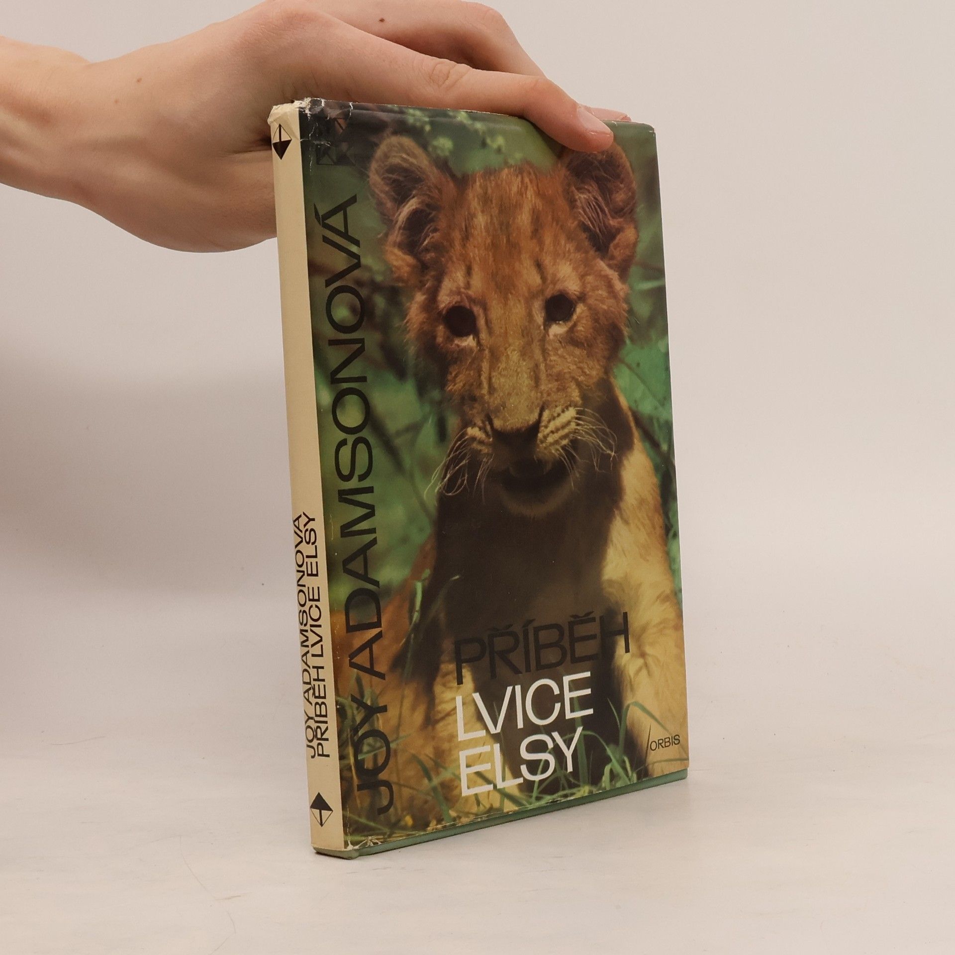 Příběh lvice Elsy