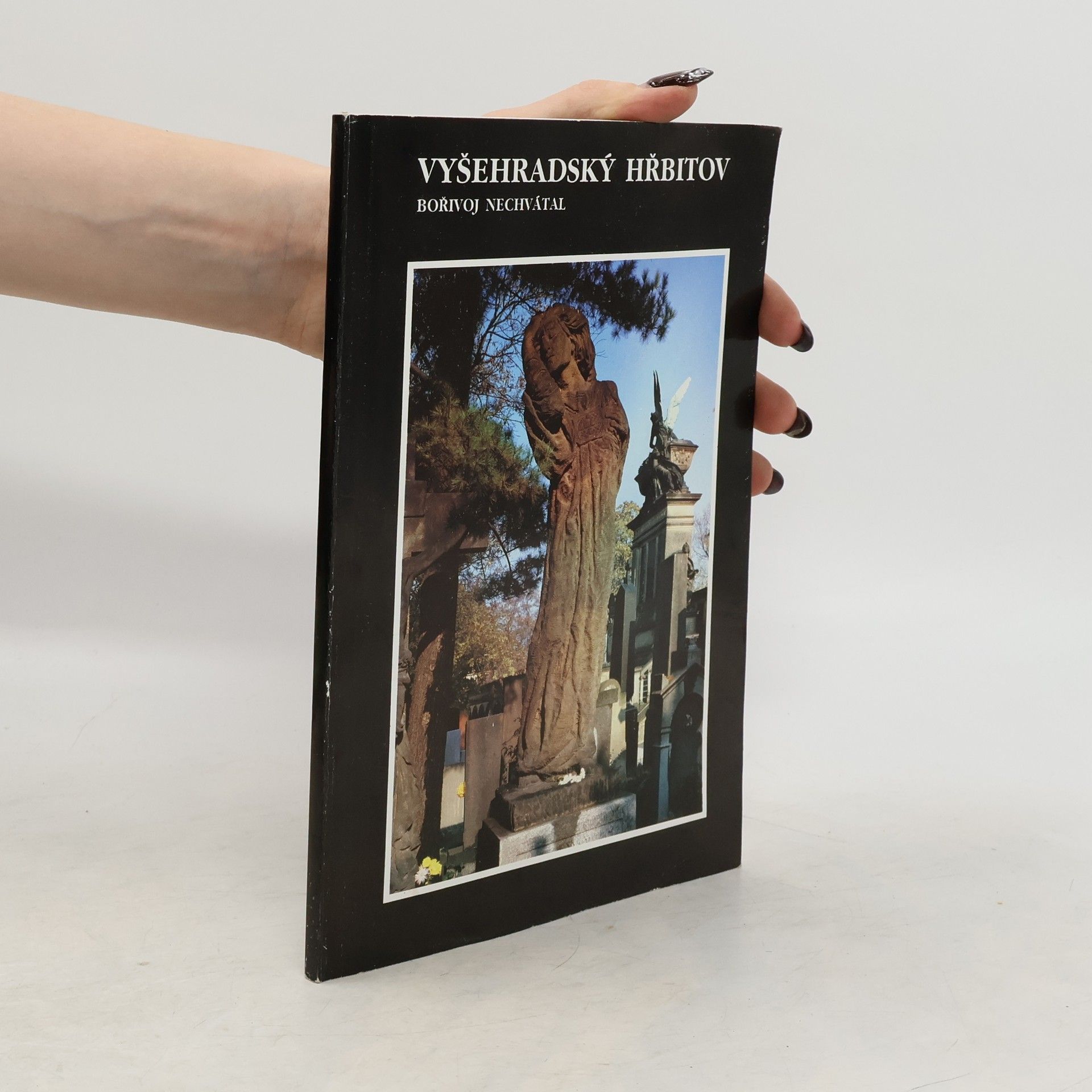 Vyšehradský hřbitov