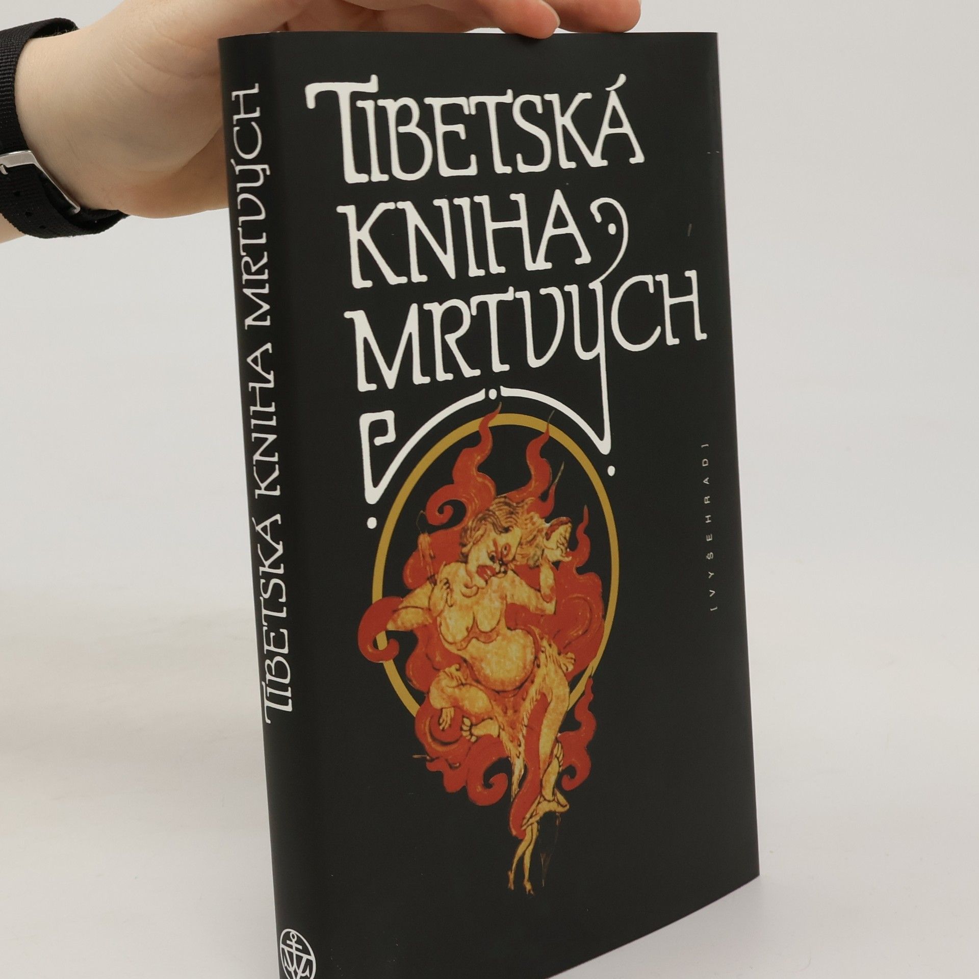 Kolektiv autorů Tibetská kniha mrtvých