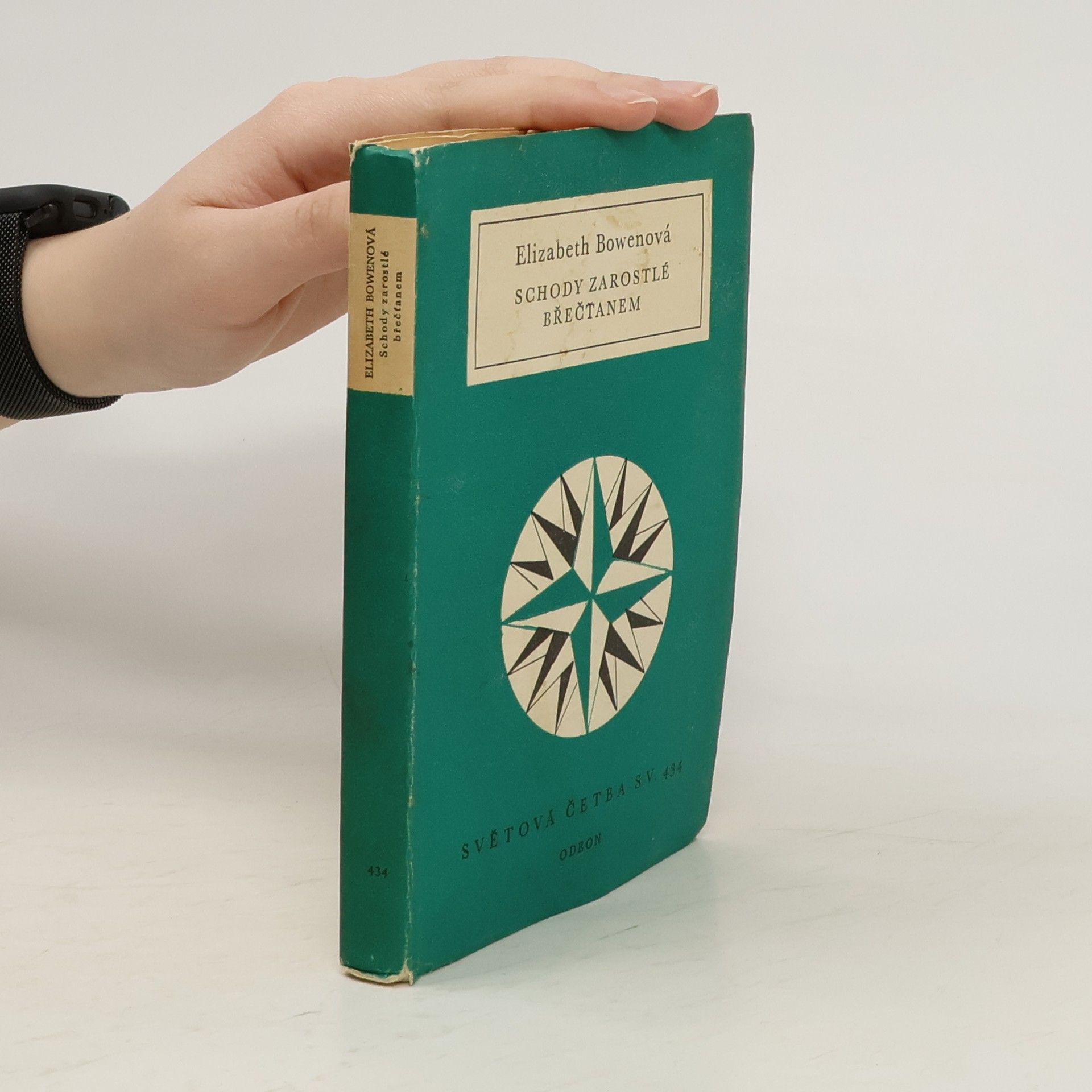 Schody zarostlé břečťanem