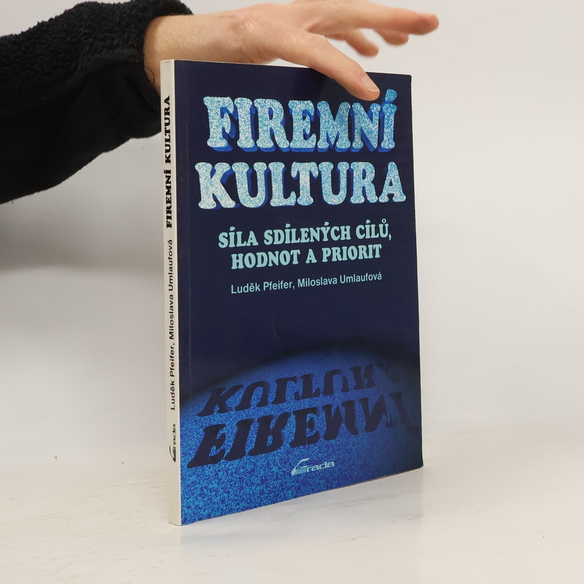 Luděk Pfeifer Firemní kultura