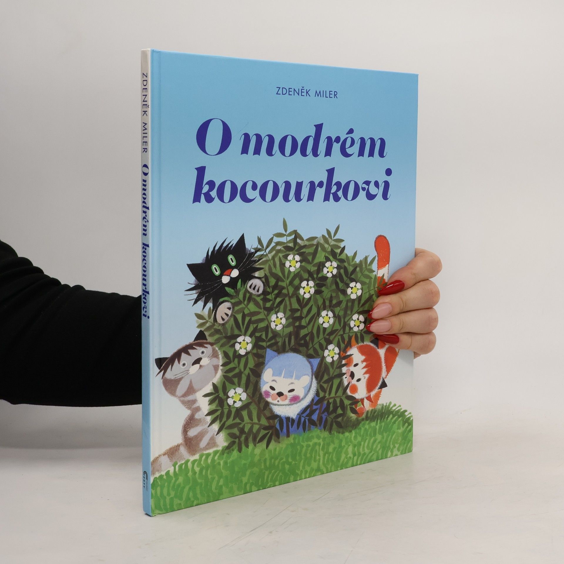 Marika Hellstrom Kennedy O modrém kocourkovi