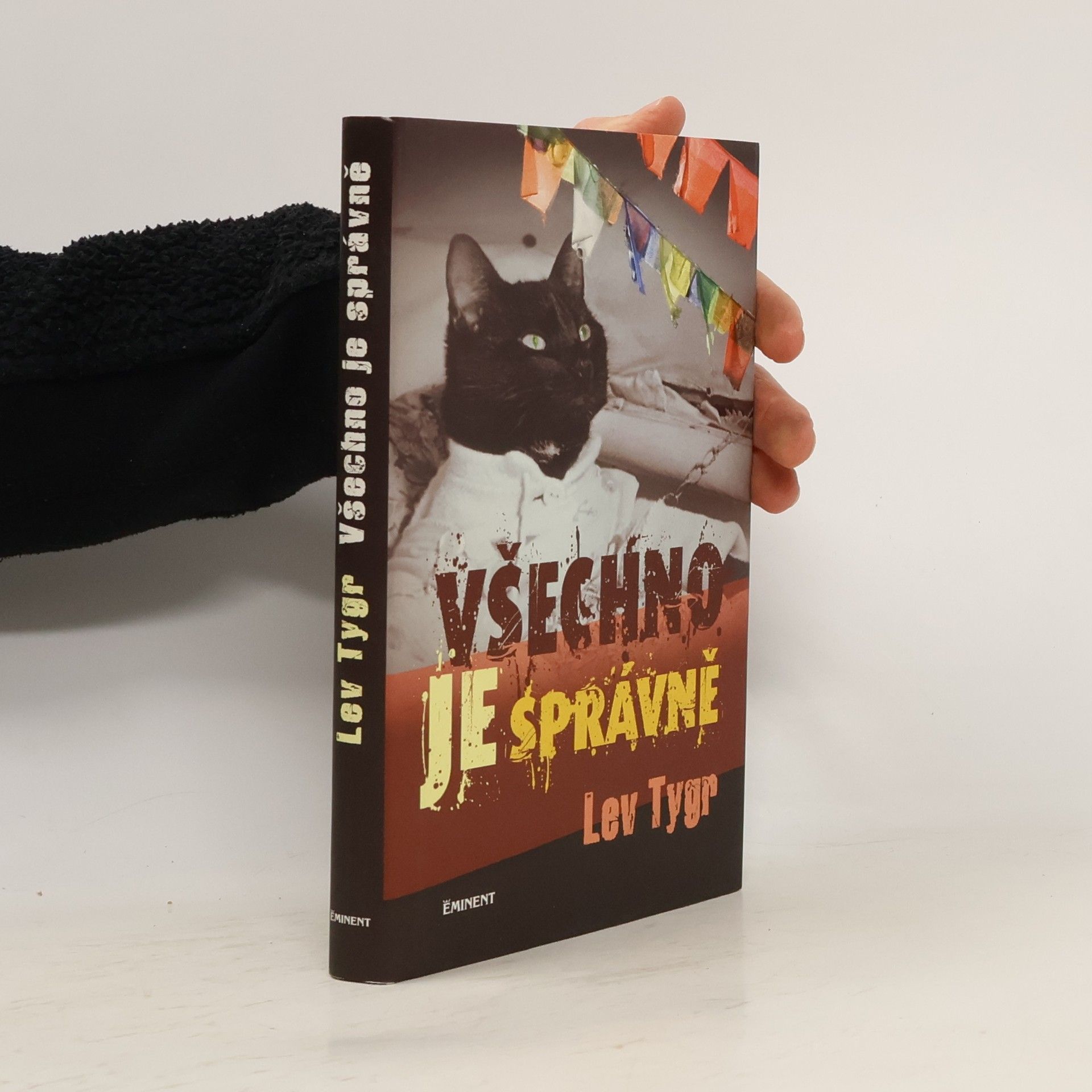 Lev Tygr Všechno je správně