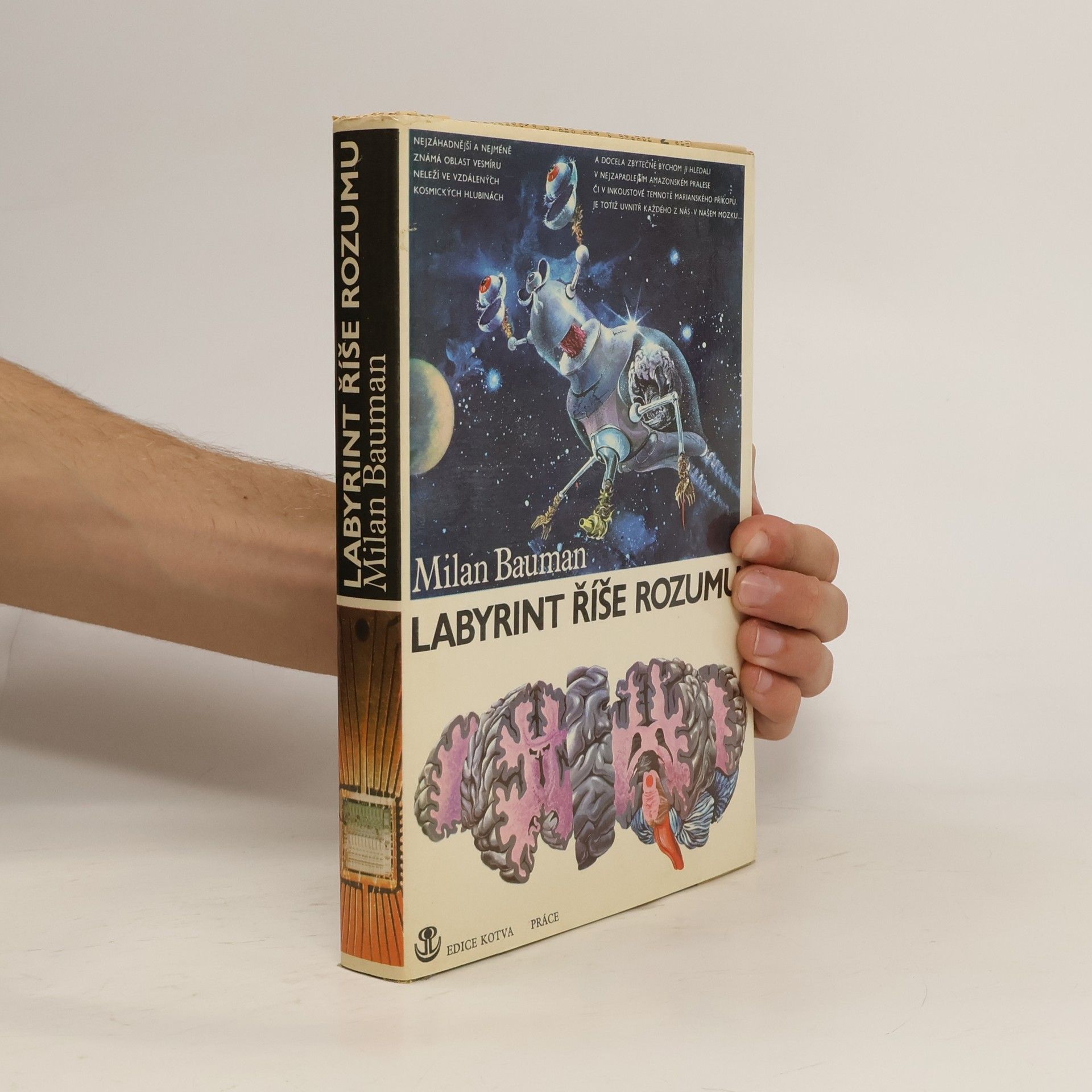 Labyrint říše rozumu