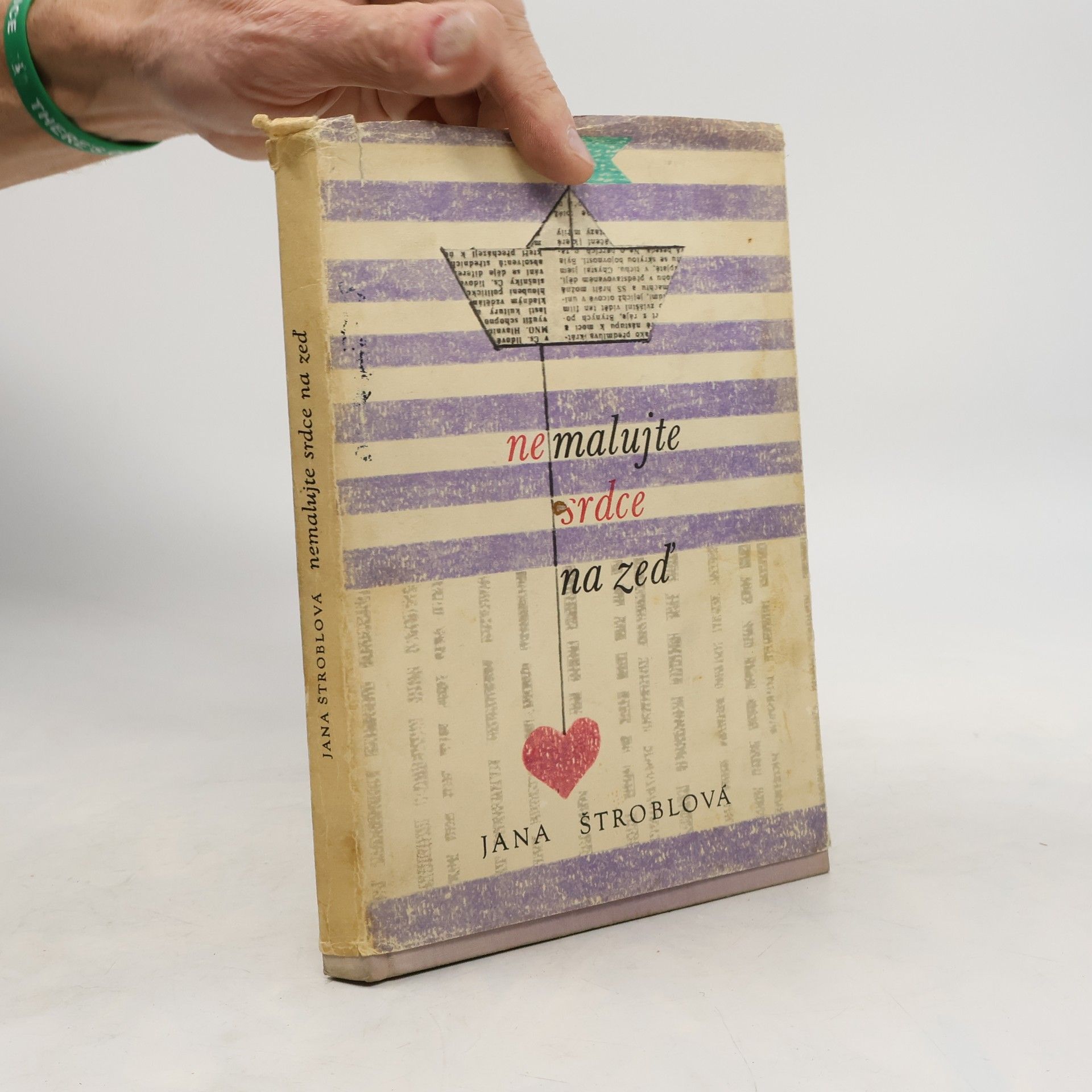 Štroblová Jana Nemalujte srdce na zeď