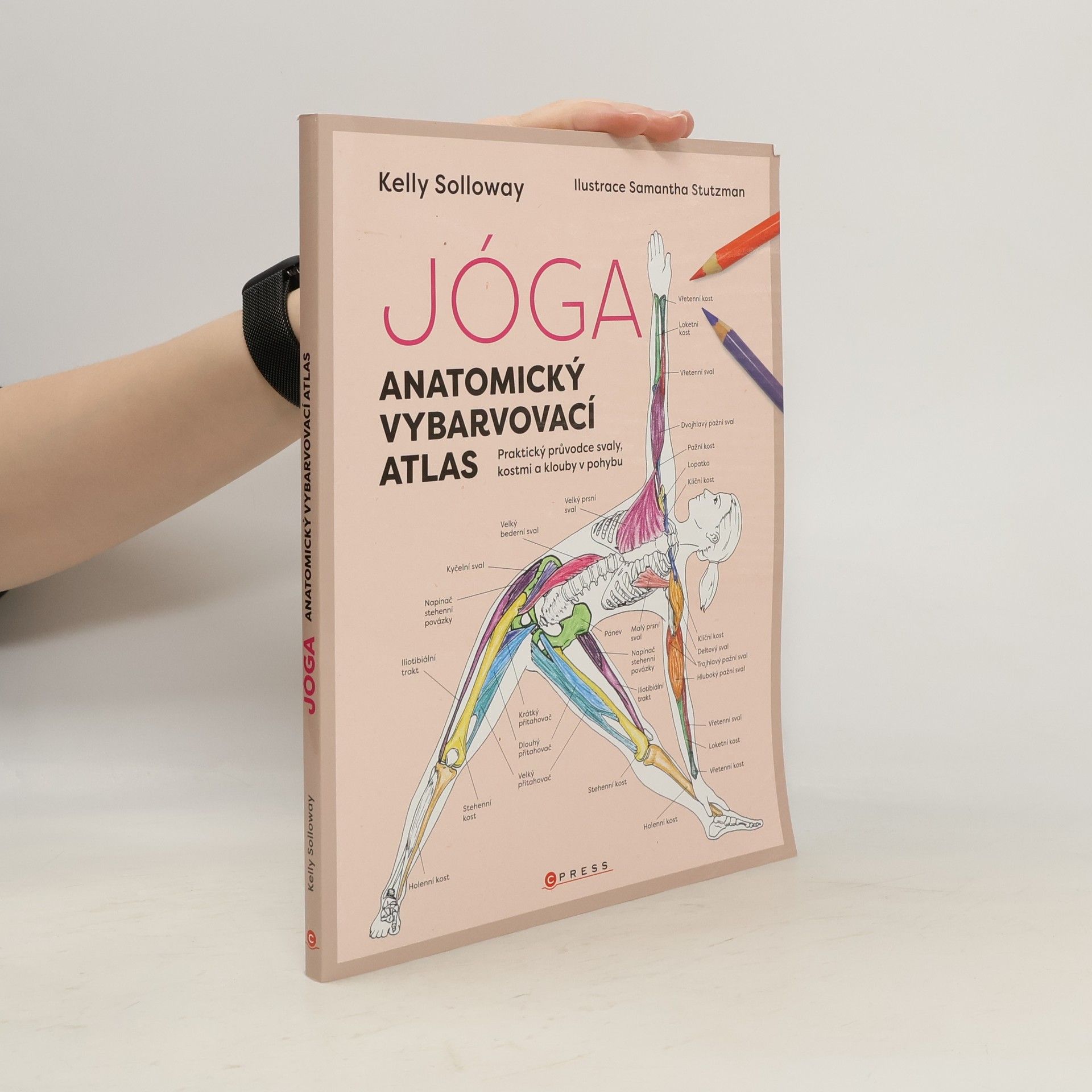 Jóga. Anatomický vybarvovací atlas. Praktický průvodce svaly, kostmi a klouby v pohybu