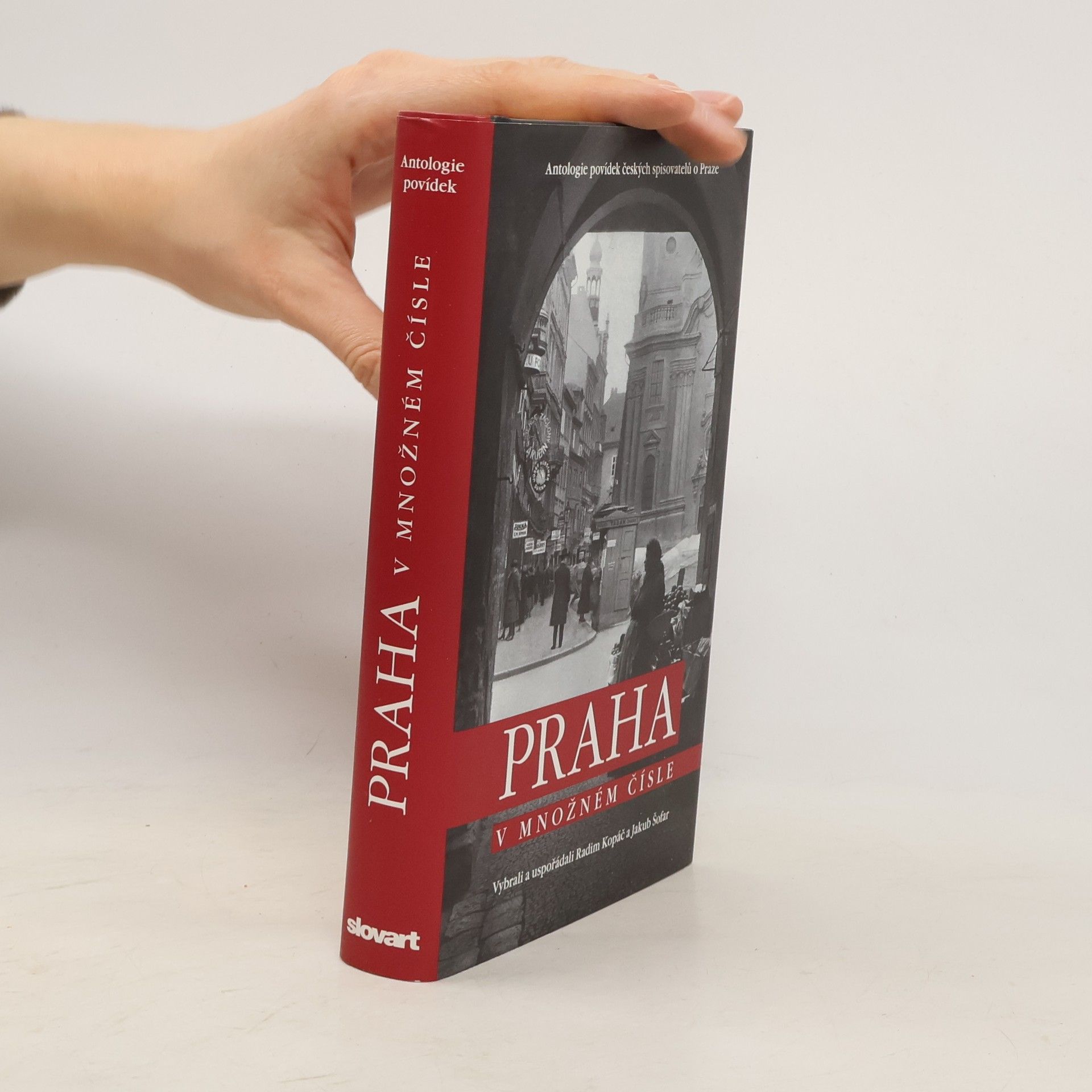 Kolektiv autorů Praha v množném čísle