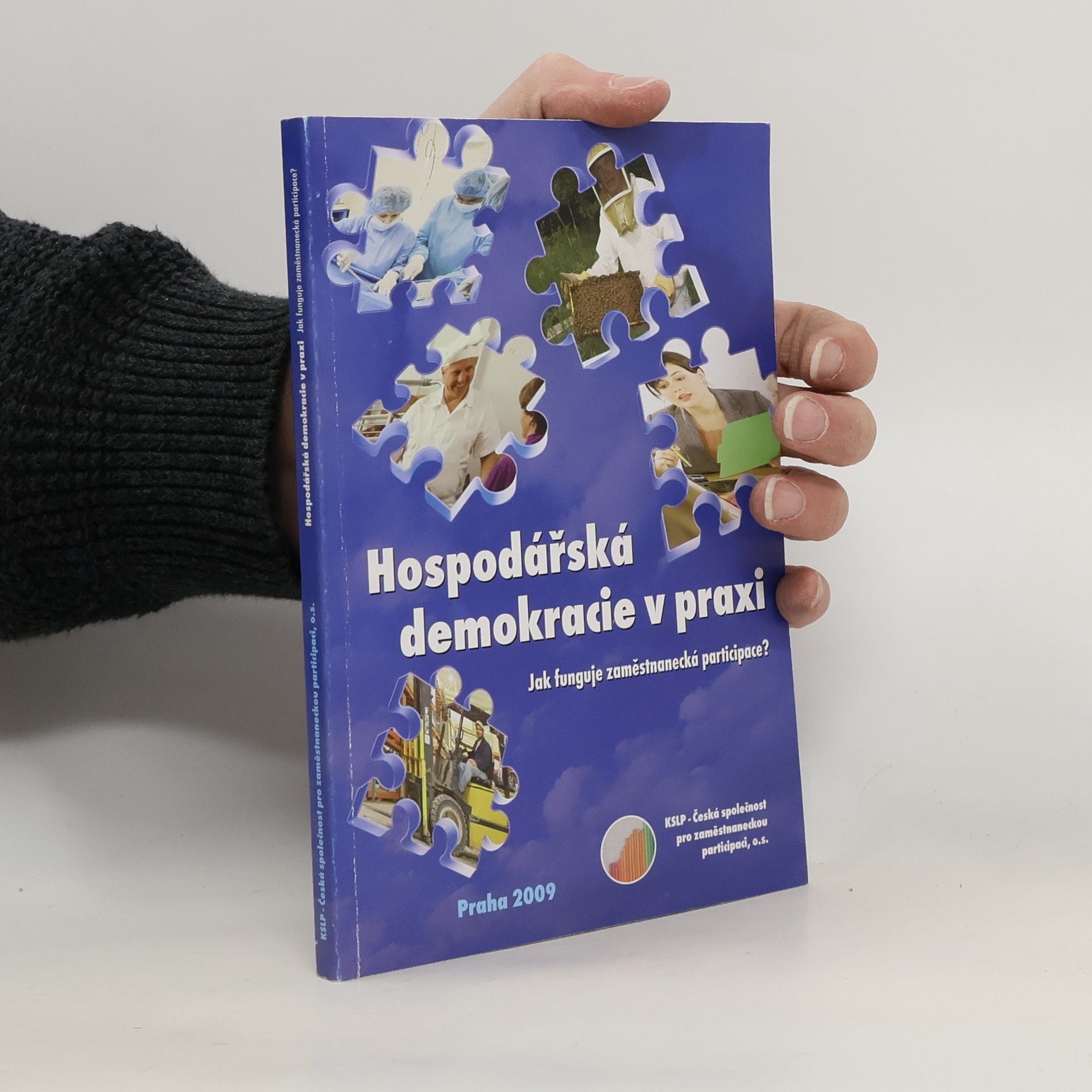 Collectif d'auteurs Hospodářská demokracie v praxi: Jak funguje zaměstnanecká participace?