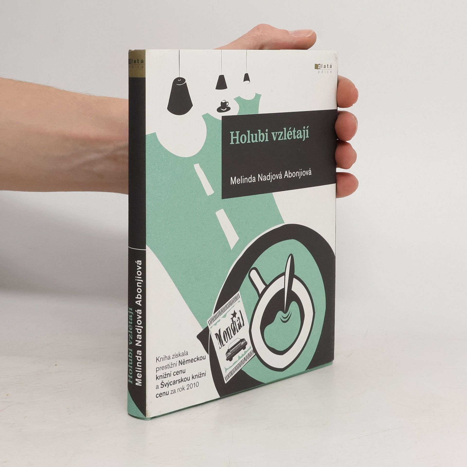 Melinda Nadj Abonji Holubi vzlétají