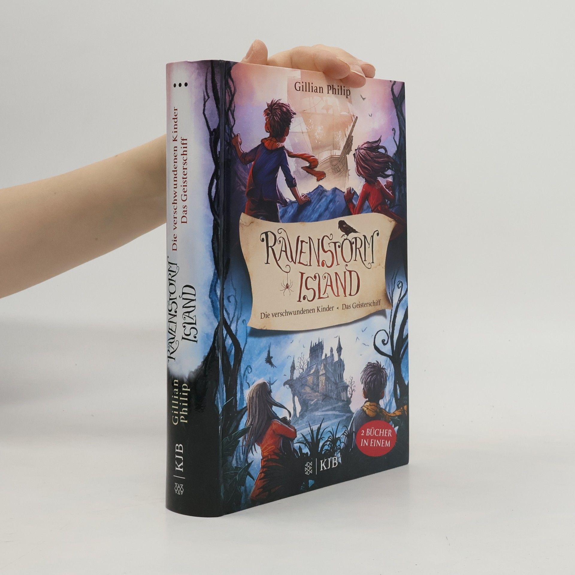 Gabriella Poole Die Geheimnisse von Ravenstorm Island