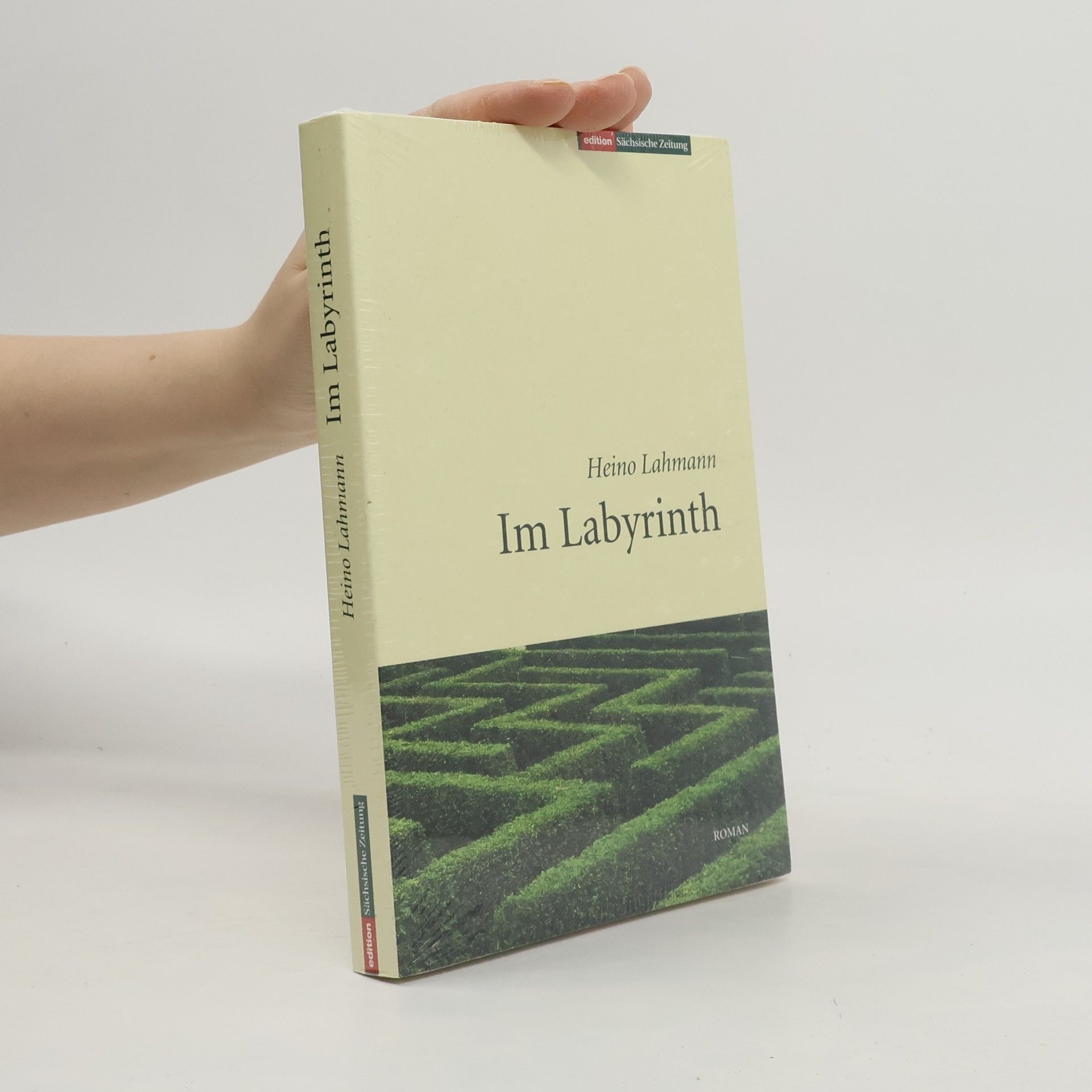 Heino Lahmann Im Labyrinth