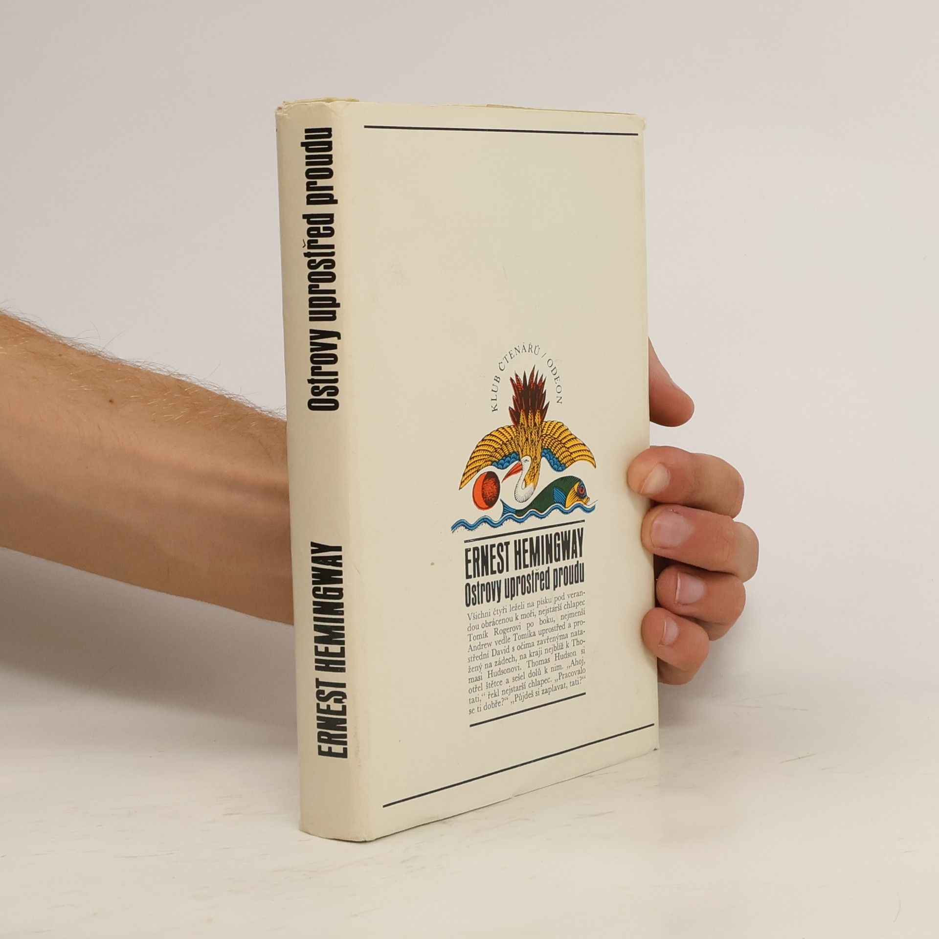 Ostrovy uprostřed proudu