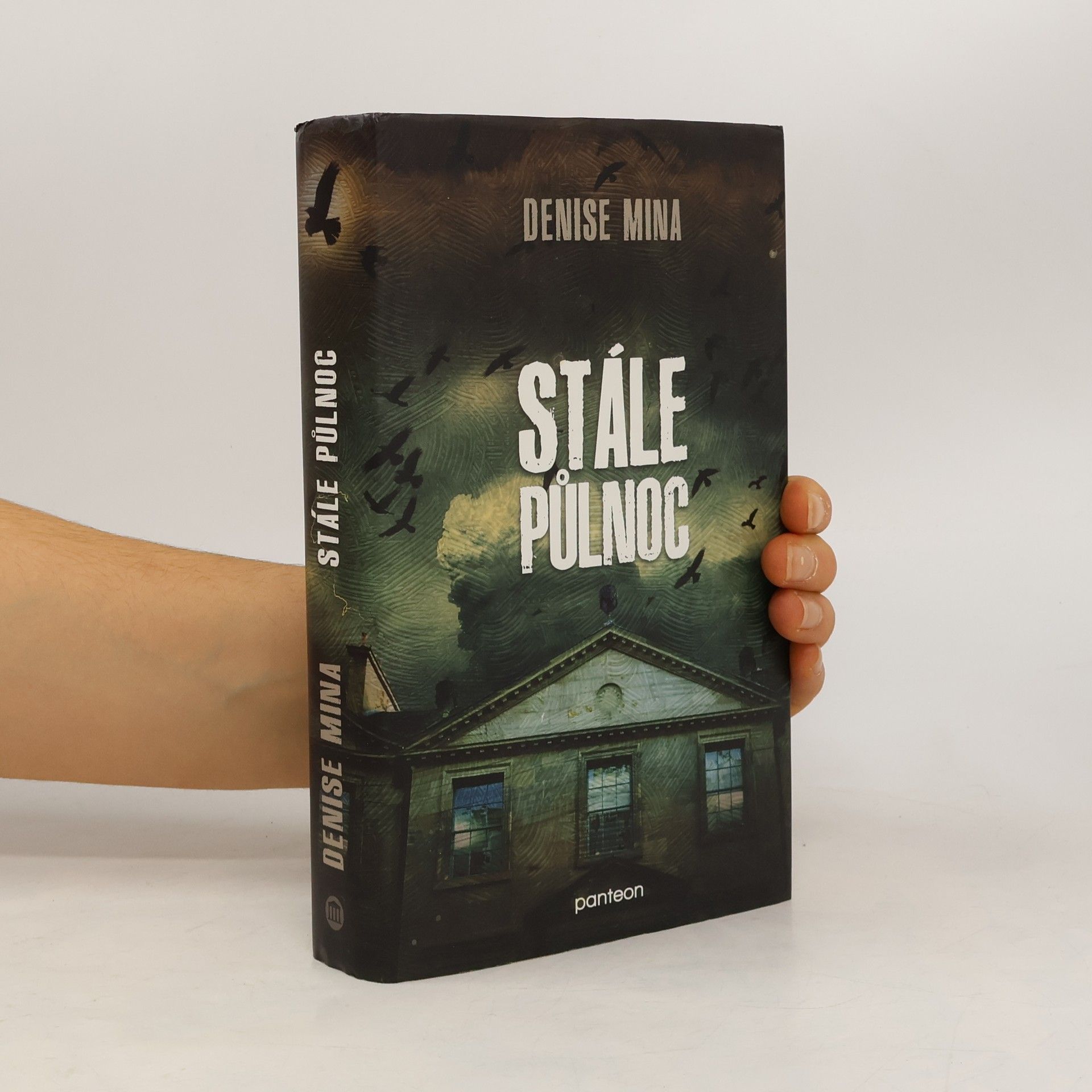 Denise Mina Stále půlnoc