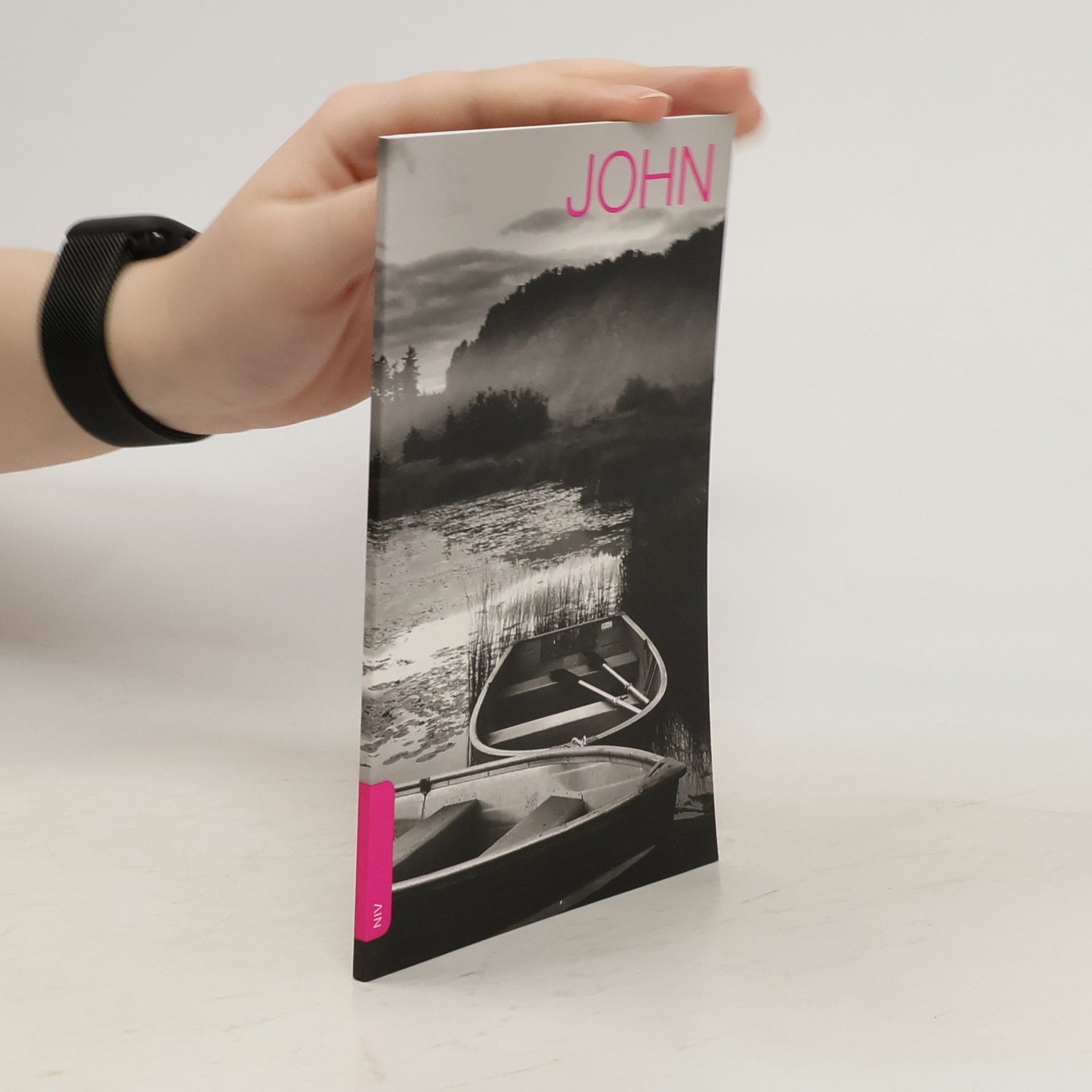 Autorenkollektiv John's Gospel