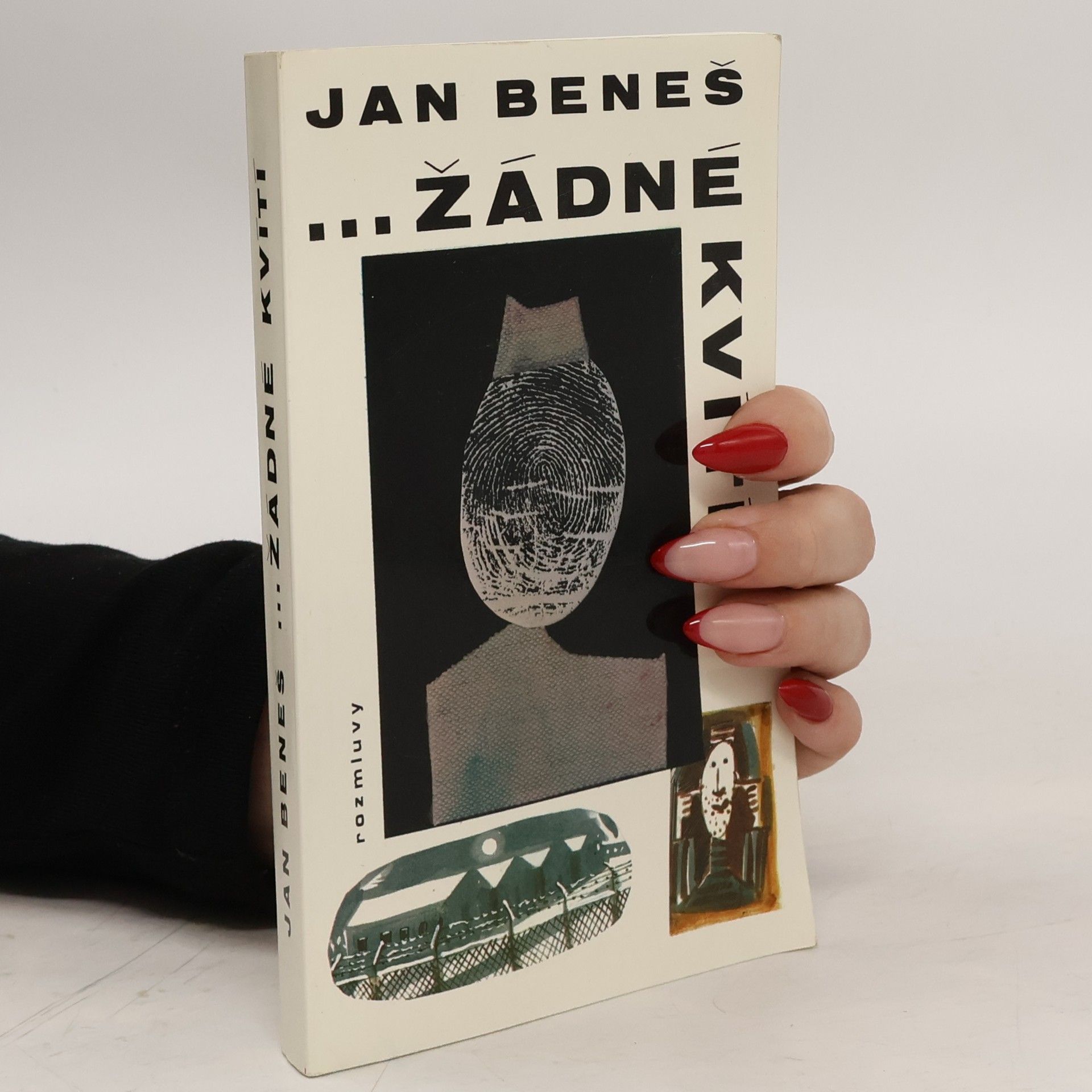 Radek Beneš Žádné Kvítí