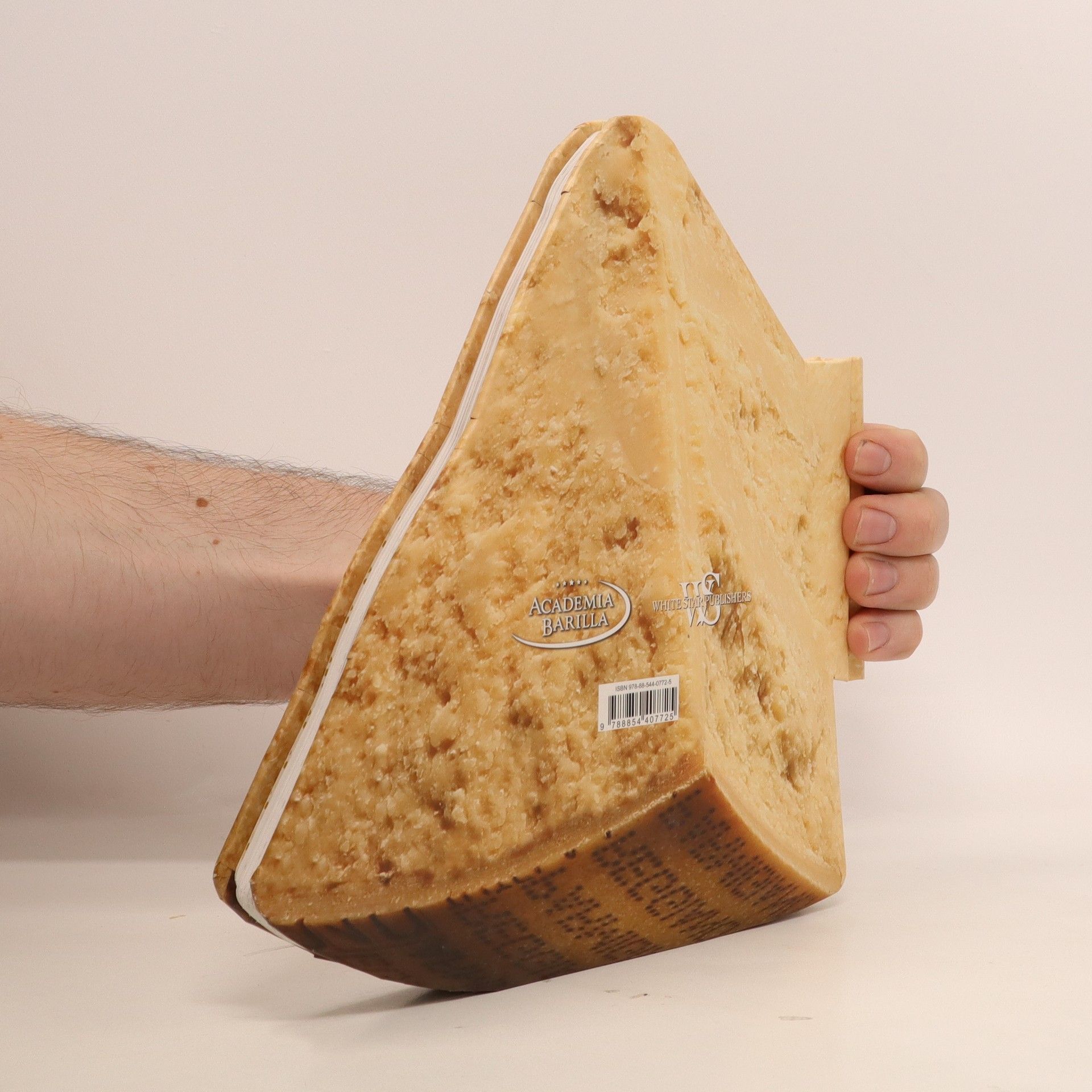 Maria Grazia Villa Parmigiano Reggiano : 50 easy recipes