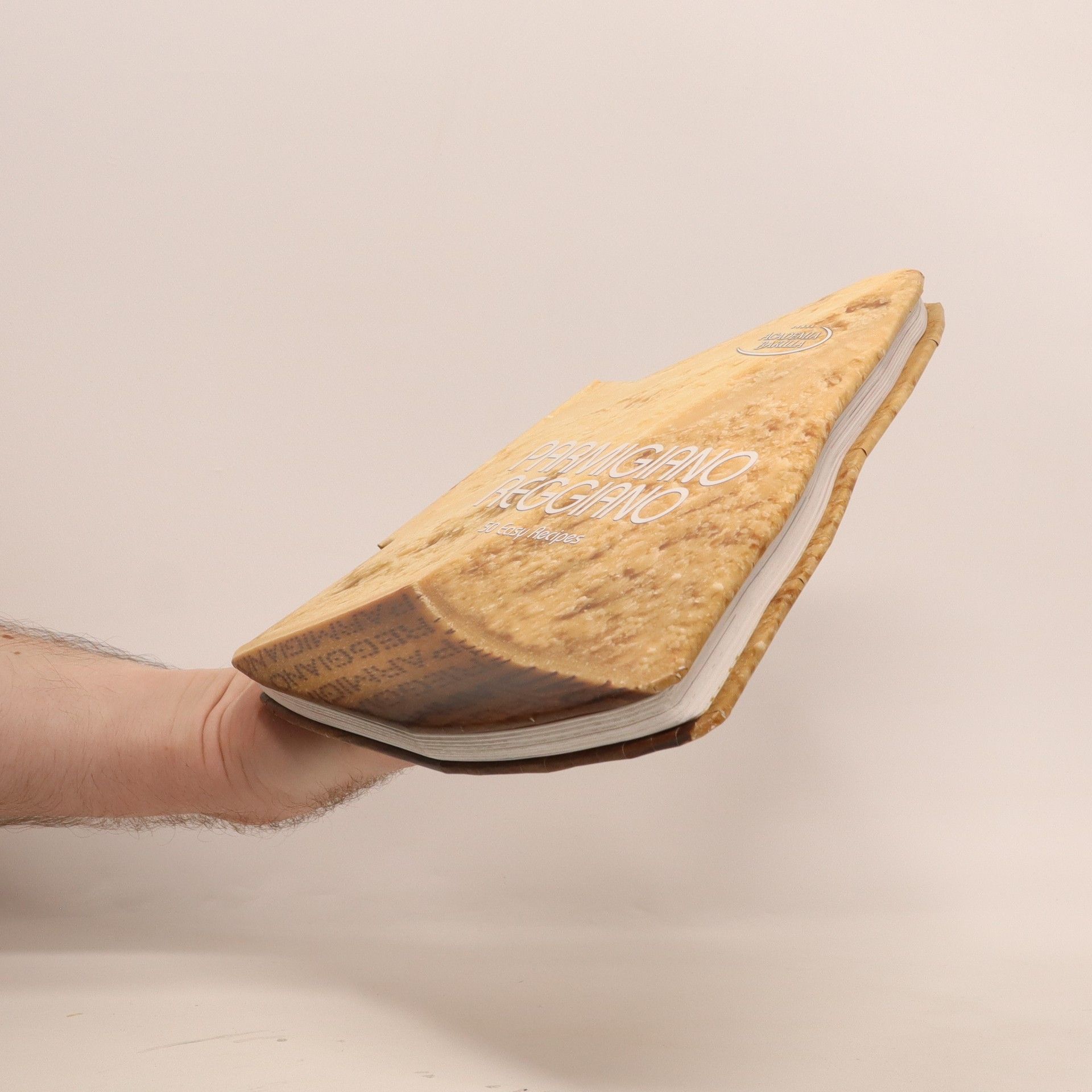 Maria Grazia Villa Parmigiano Reggiano : 50 easy recipes