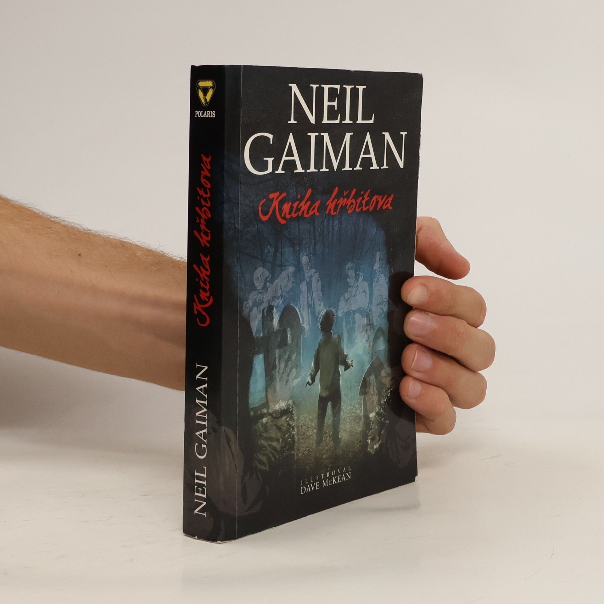 Neil Gaiman Kniha hřbitova