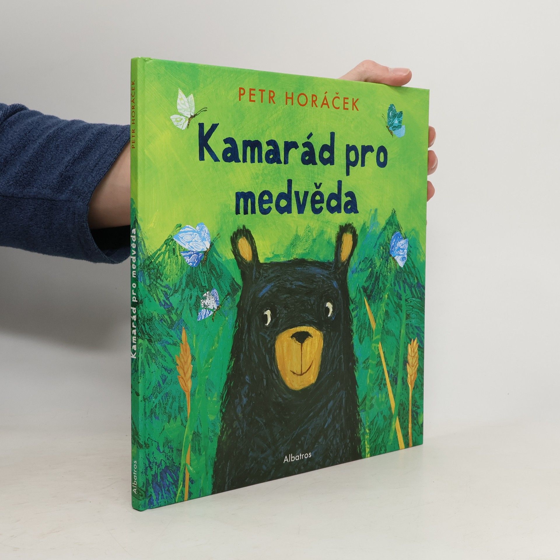 Petr Horácek Kamarád pro medvěda