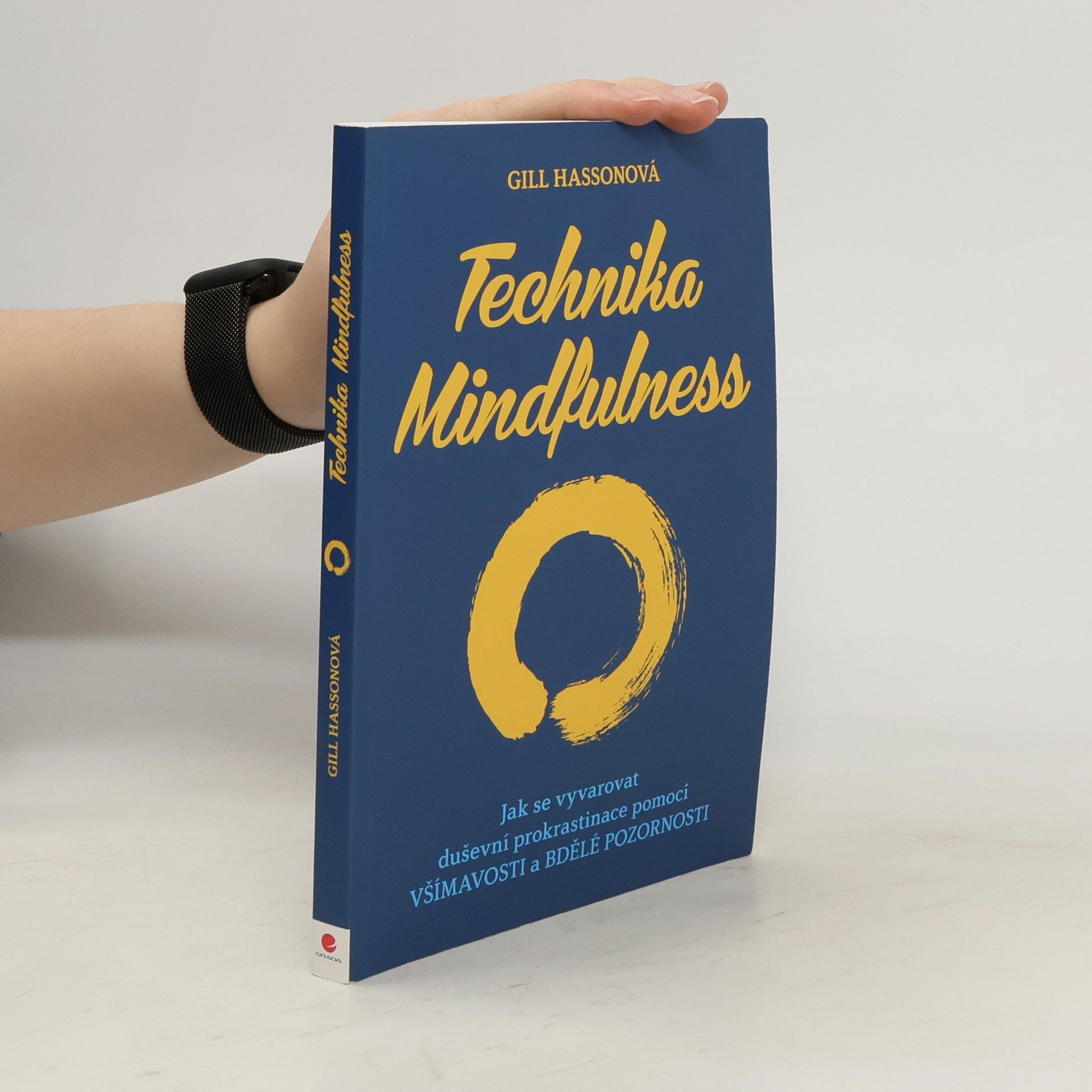 Gill Hasson Technika Mindfulness : jak se vyvarovat duševní prokrastinace pomocí všímavosti a bdělé pozornosti