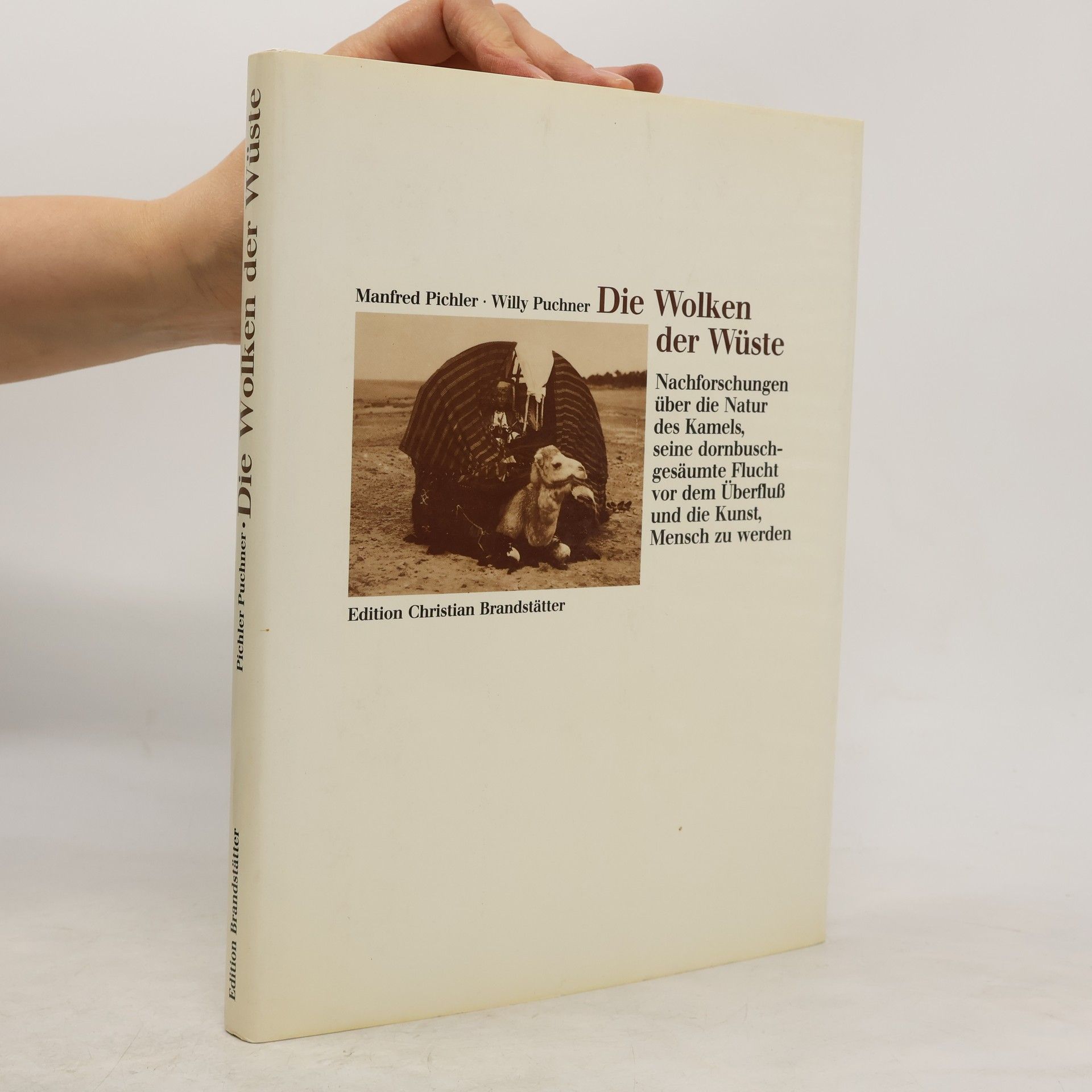 Die Wolken der Wüste