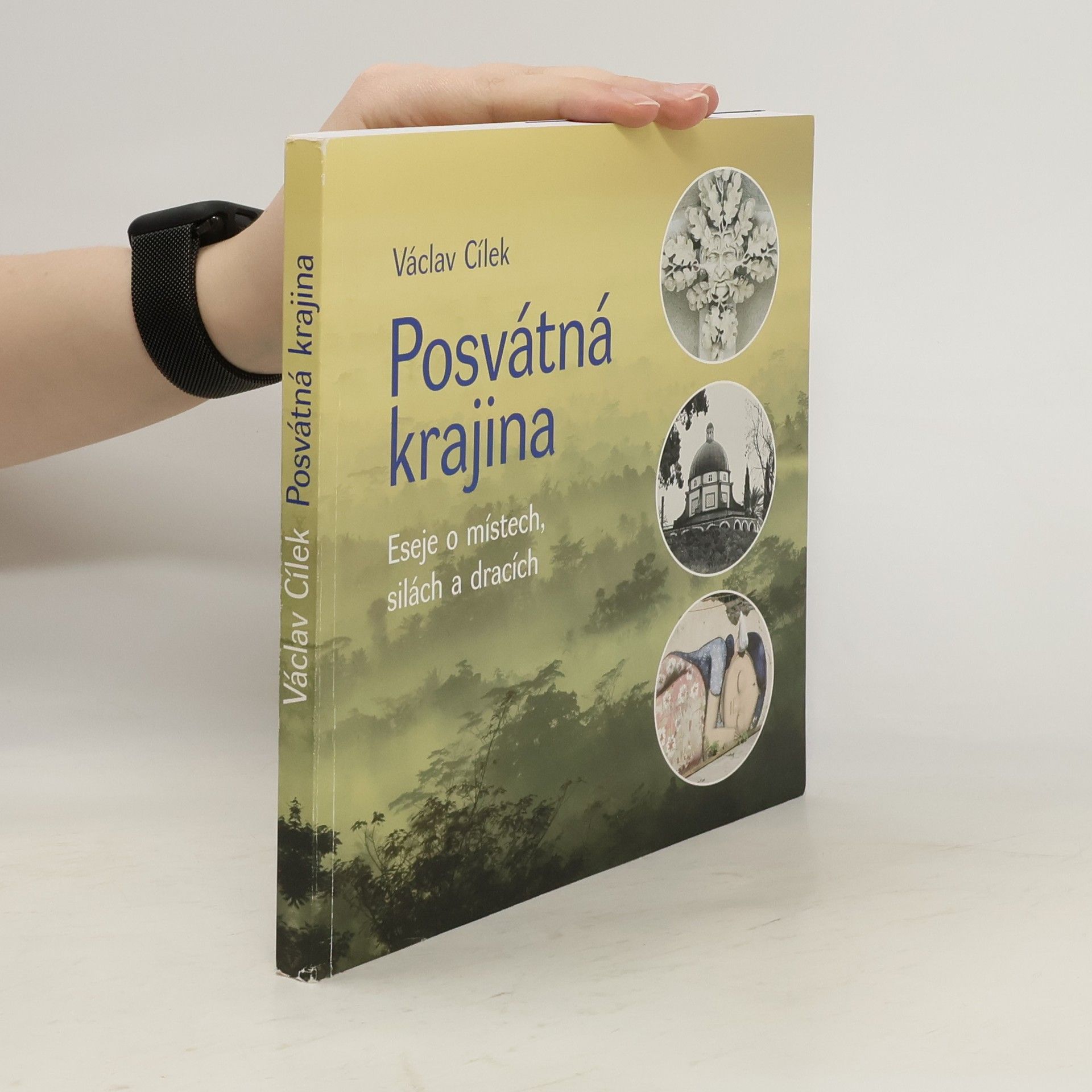Václav Cílek Posvátná krajina. Eseje o místech, silách a dracích
