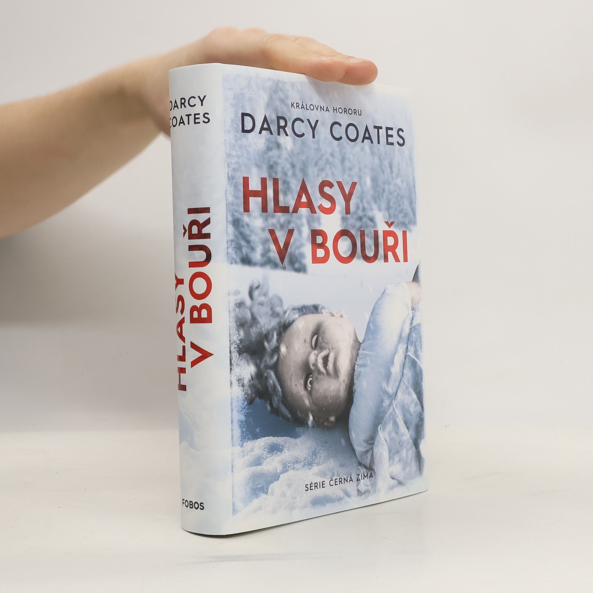 Darcy Coates Hlasy v bouři