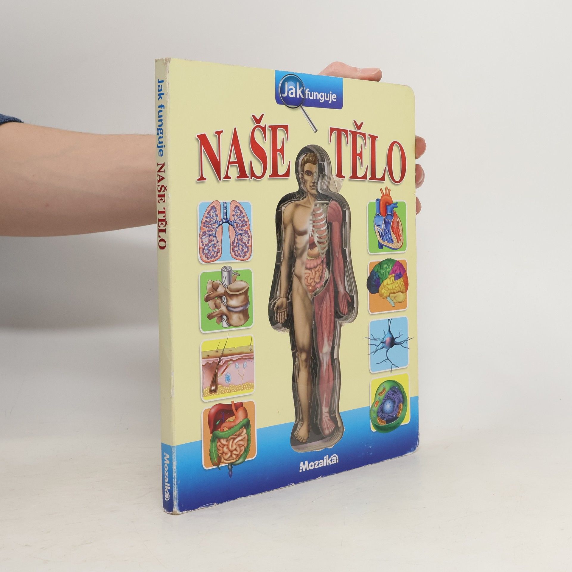 Jak funguje naše tělo