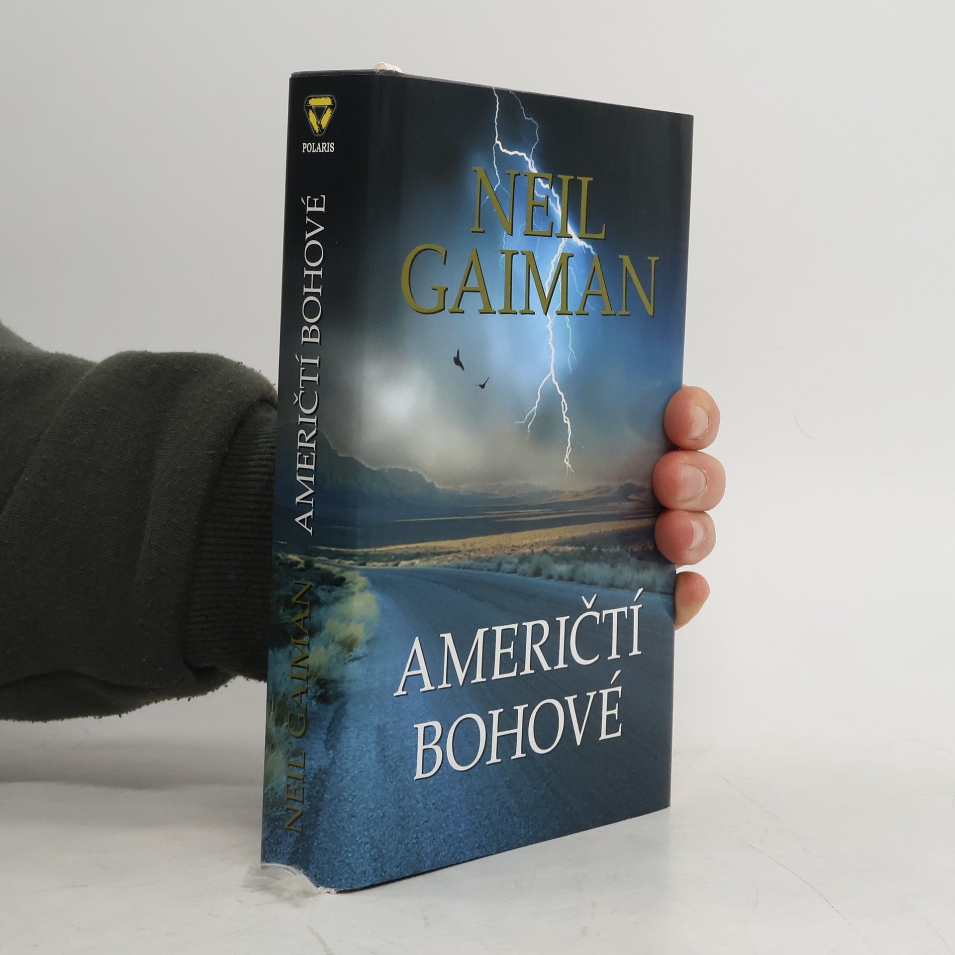 Neil Gaiman Američtí bohové