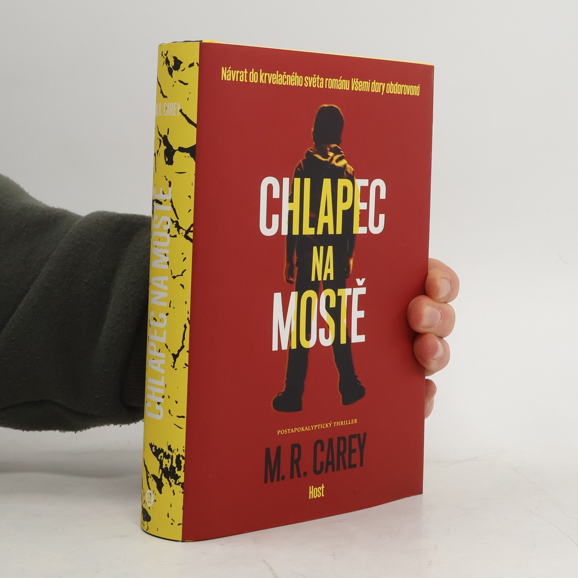 M. R. Carey Chlapec na mostě